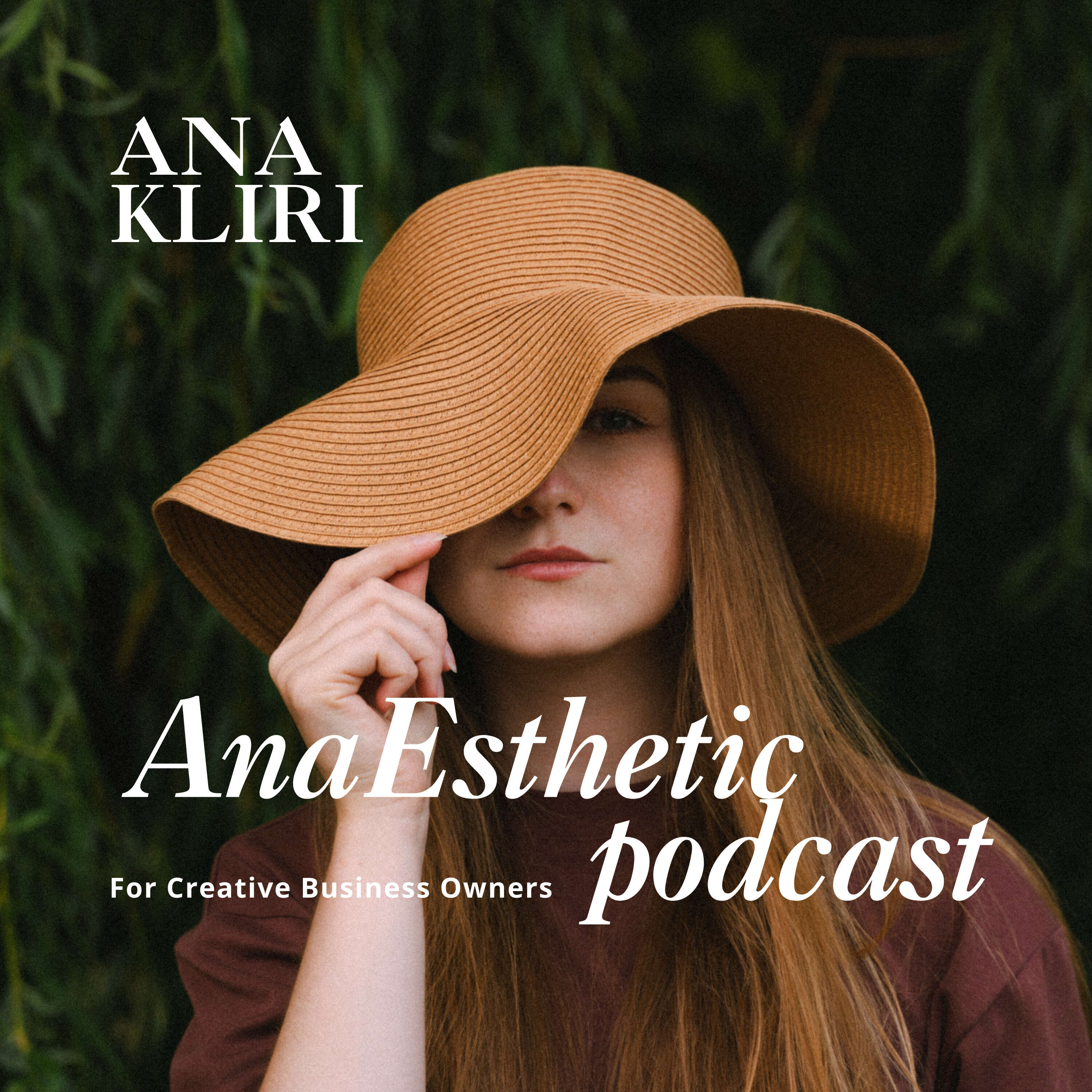 AnaEsthetic for Creative Business Owners cover art