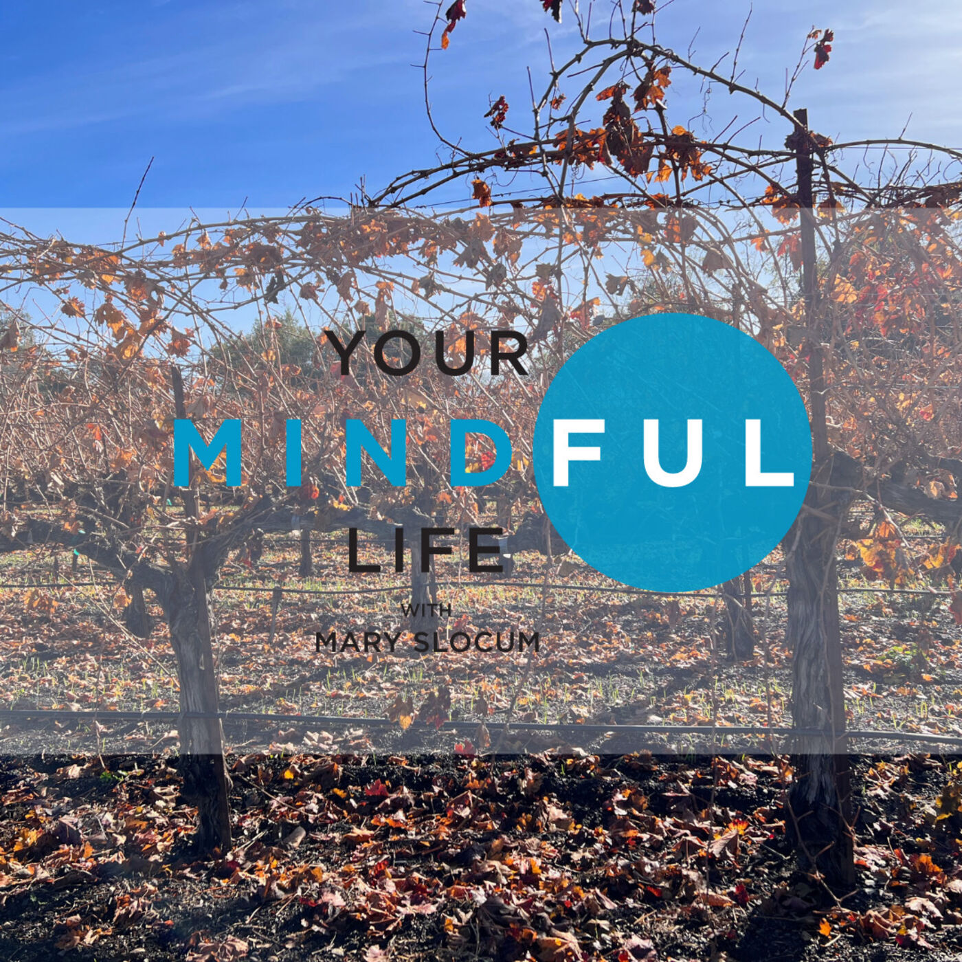 Your Mindful Life