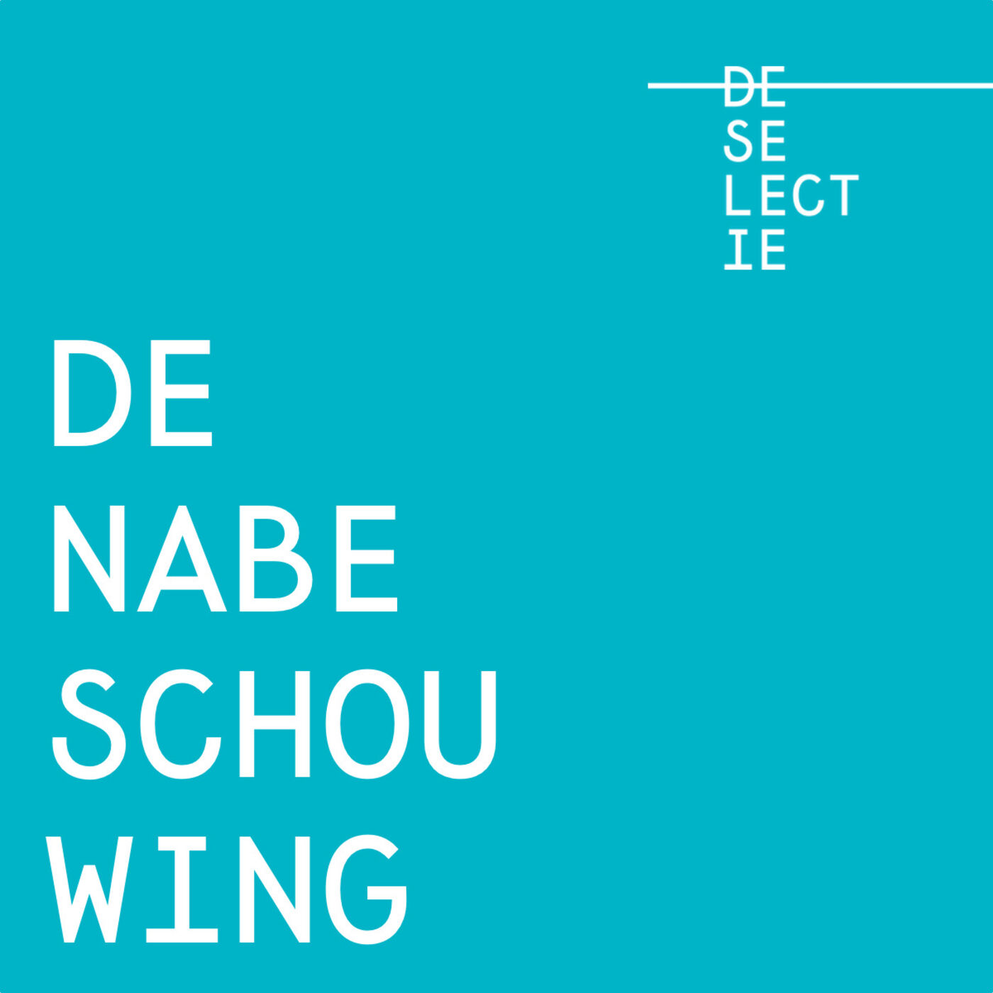 De Nabeschouwing