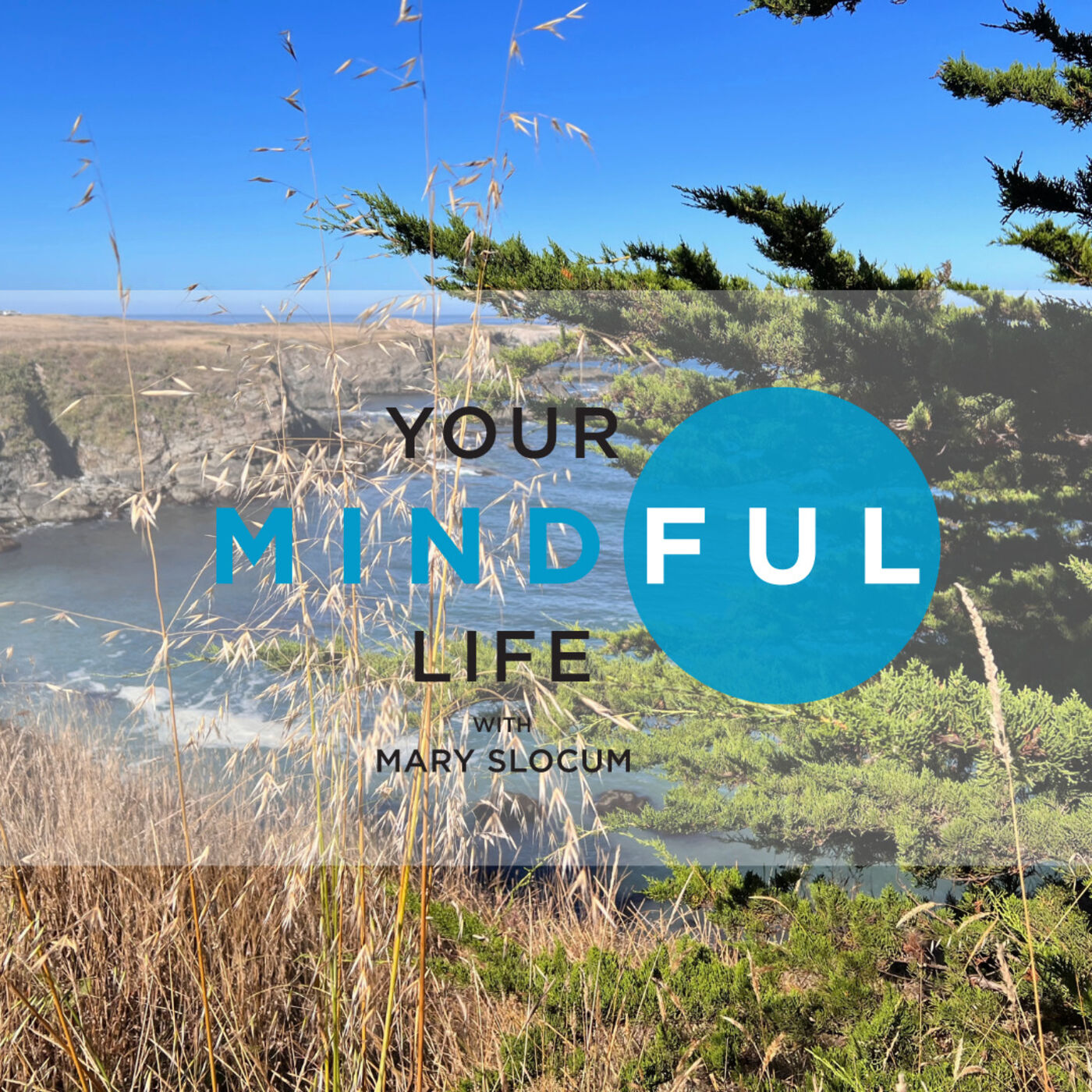 Your Mindful Life