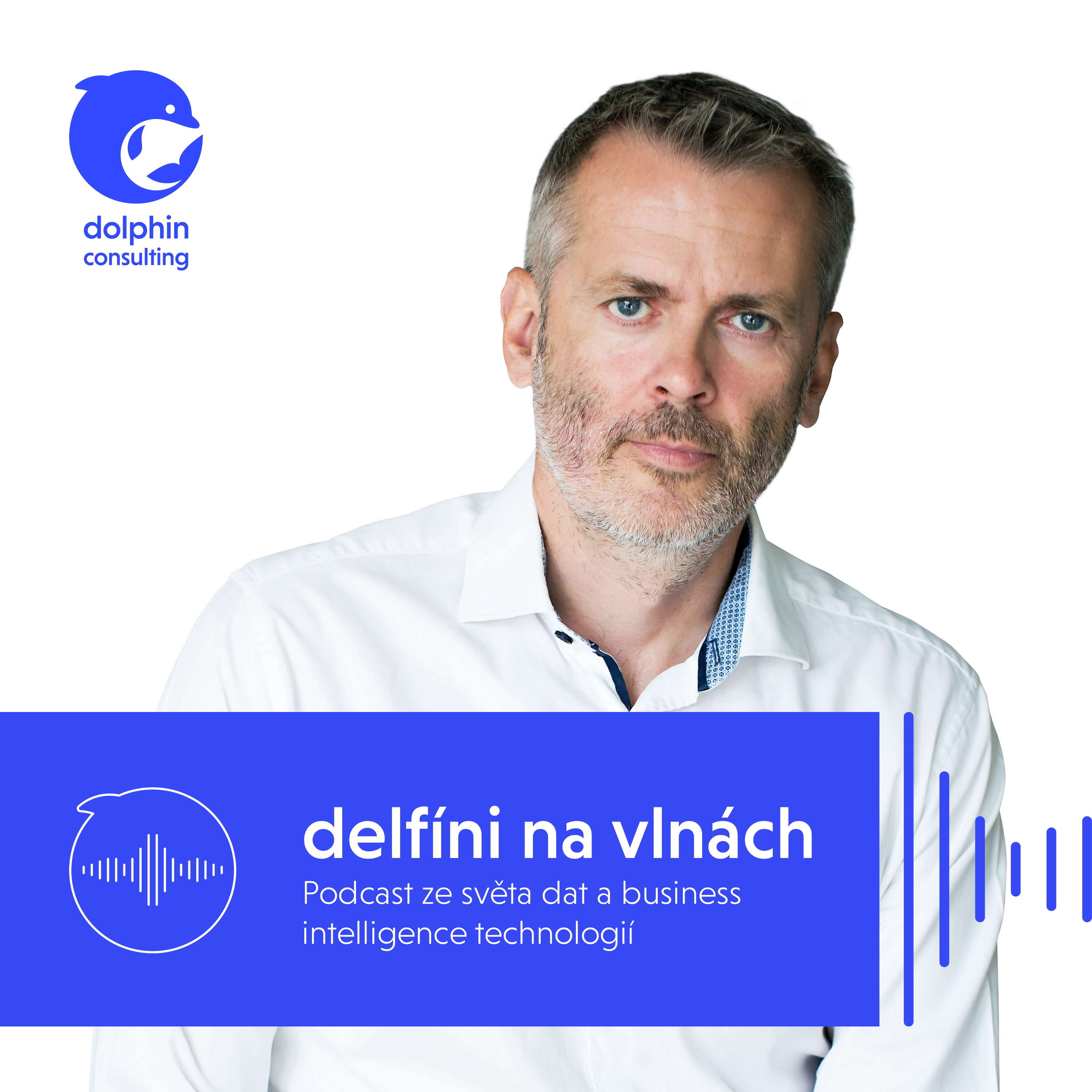 delfíni na vlnách - podcast ze světa dat a business Intelligence technologií