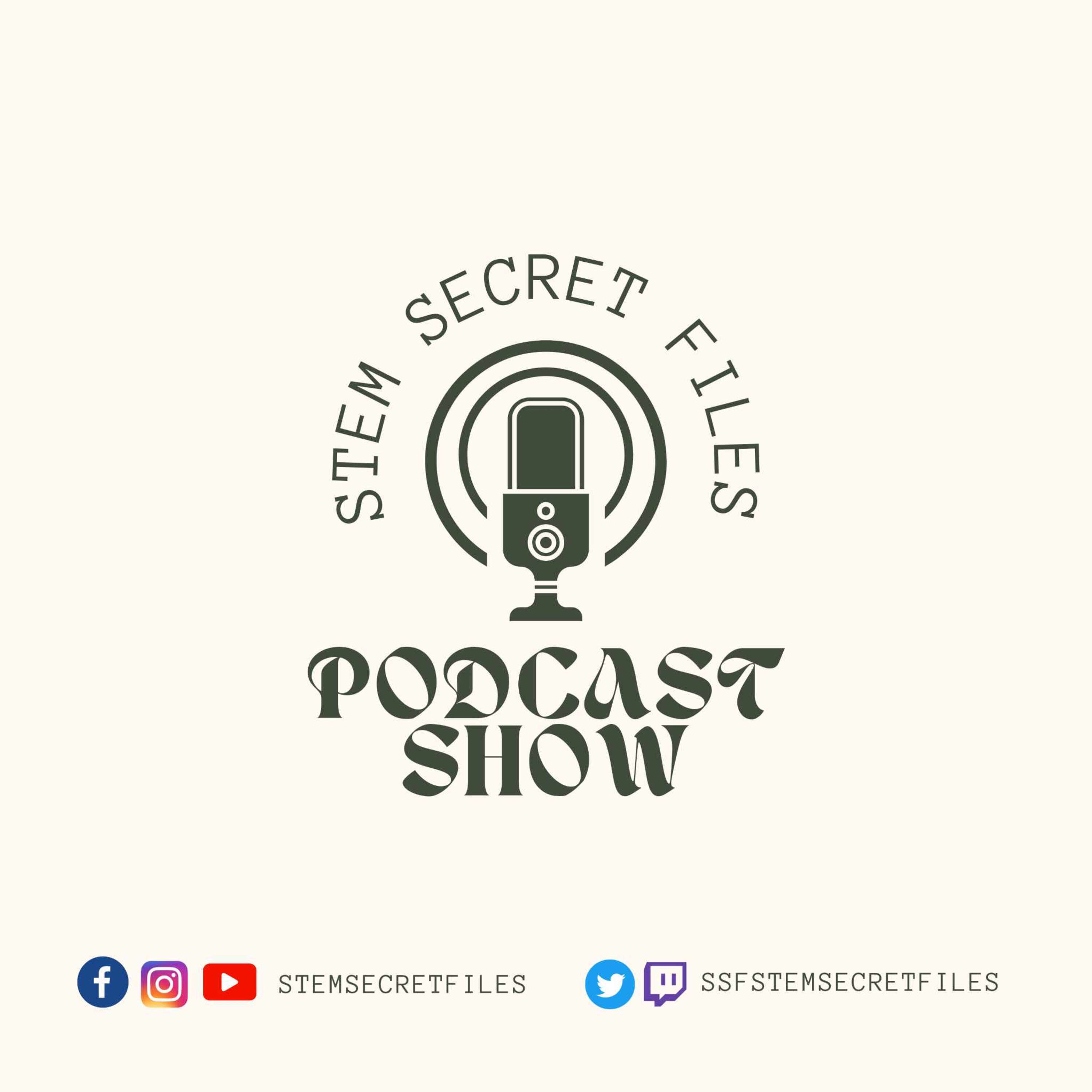 STEM Secret Files