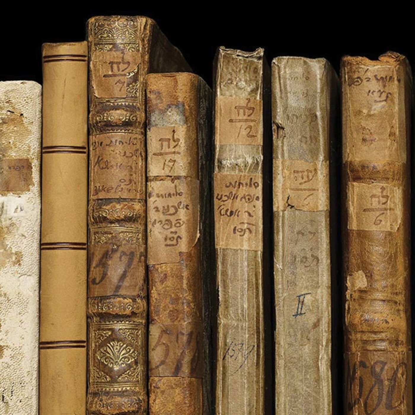 2711 Daily Torah Schmooze