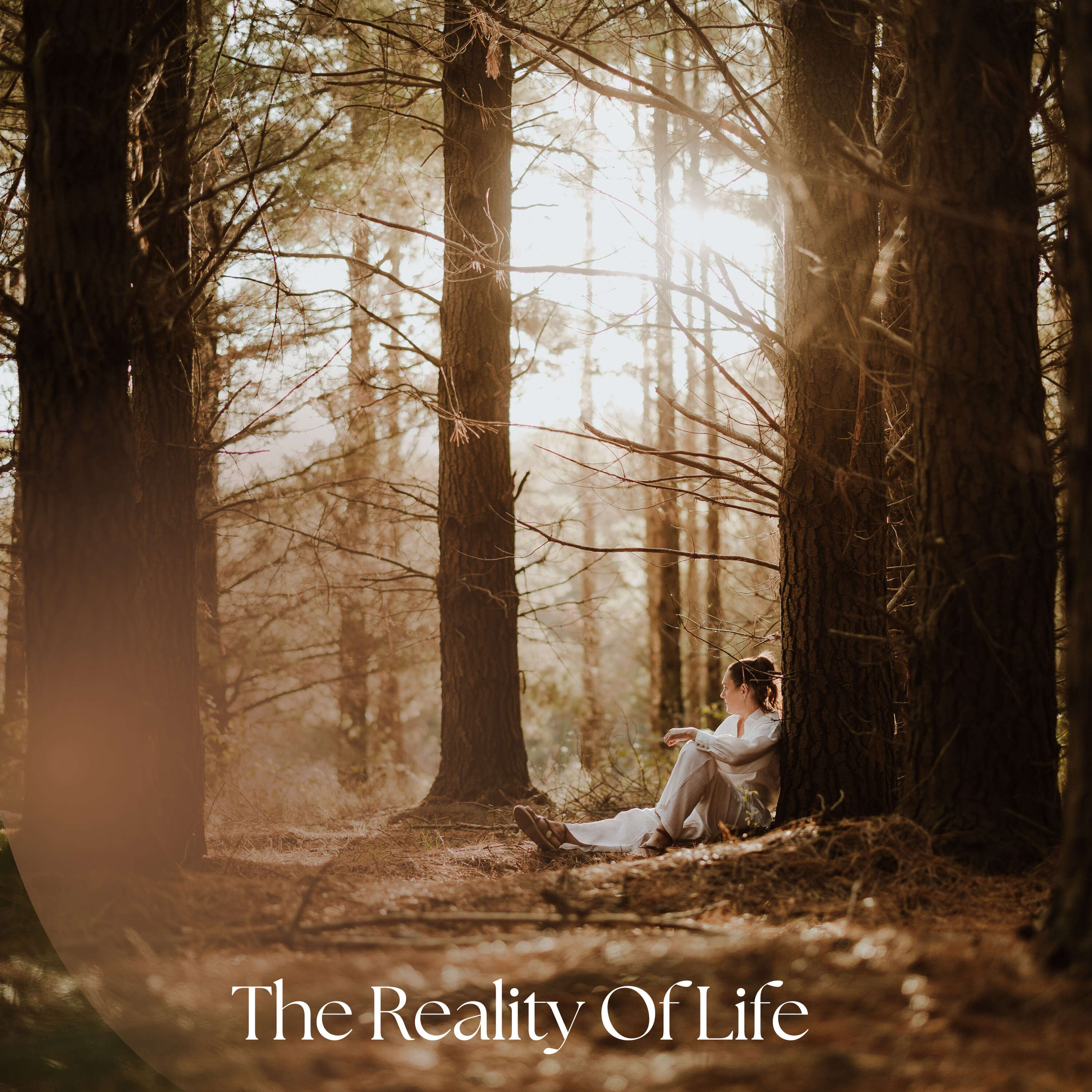 The Reality Of Life