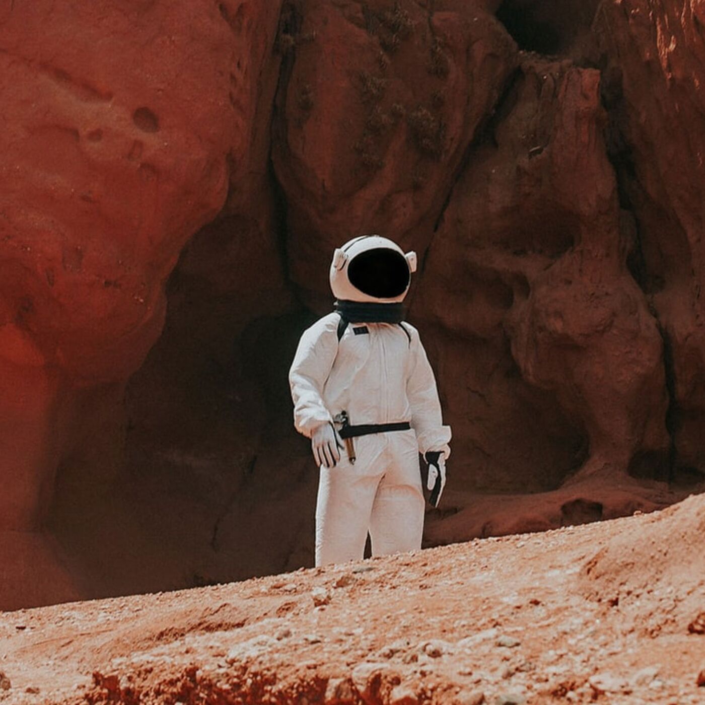 Looking for Life On Mars