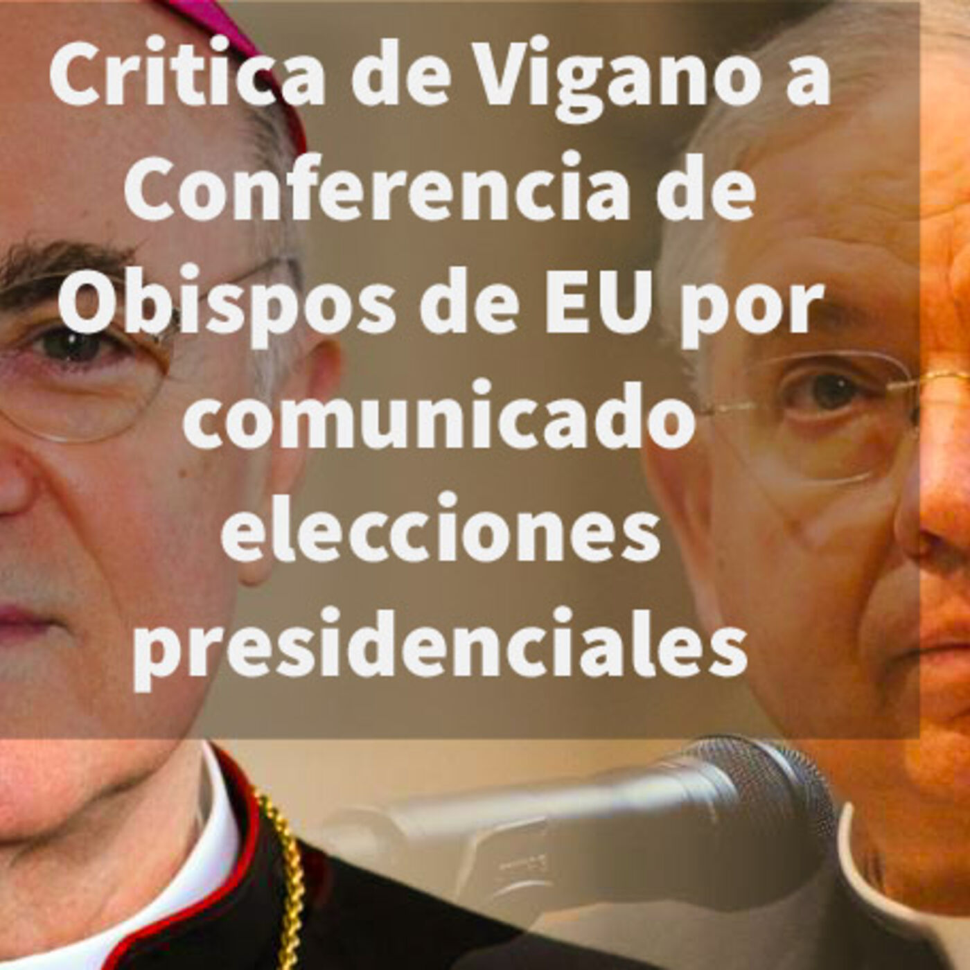 Episodio 387: 👏 Critica de Vigano a Conferencia de Obispos de EU por reciente comunicado 😱 Nuevo Orden Mundial 🌎