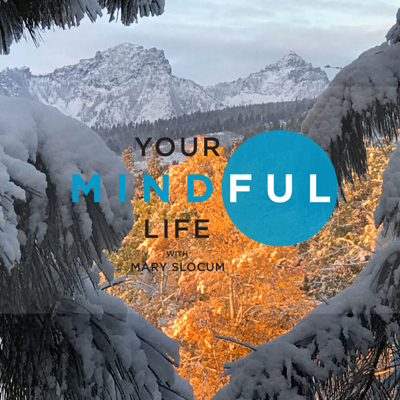 Your Mindful Life
