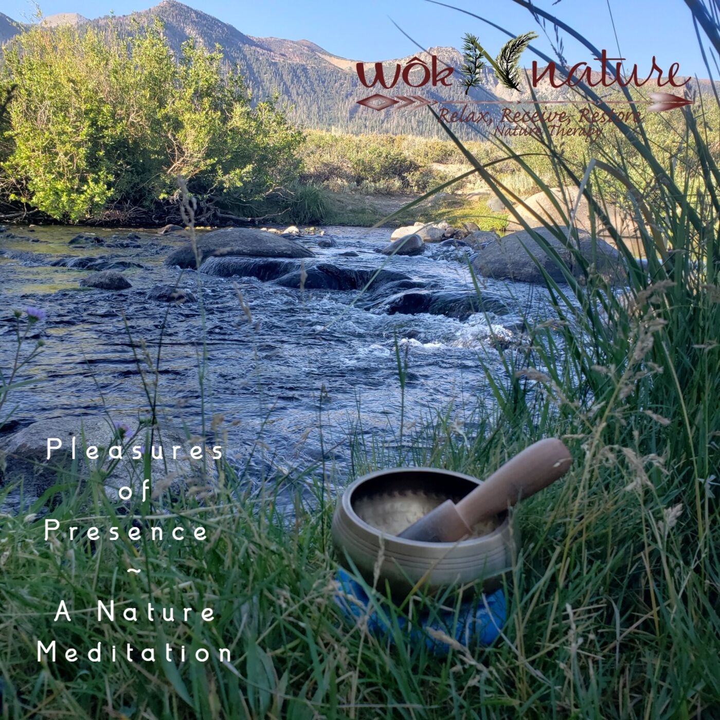 Pleasures of Presence - Nature Meditation