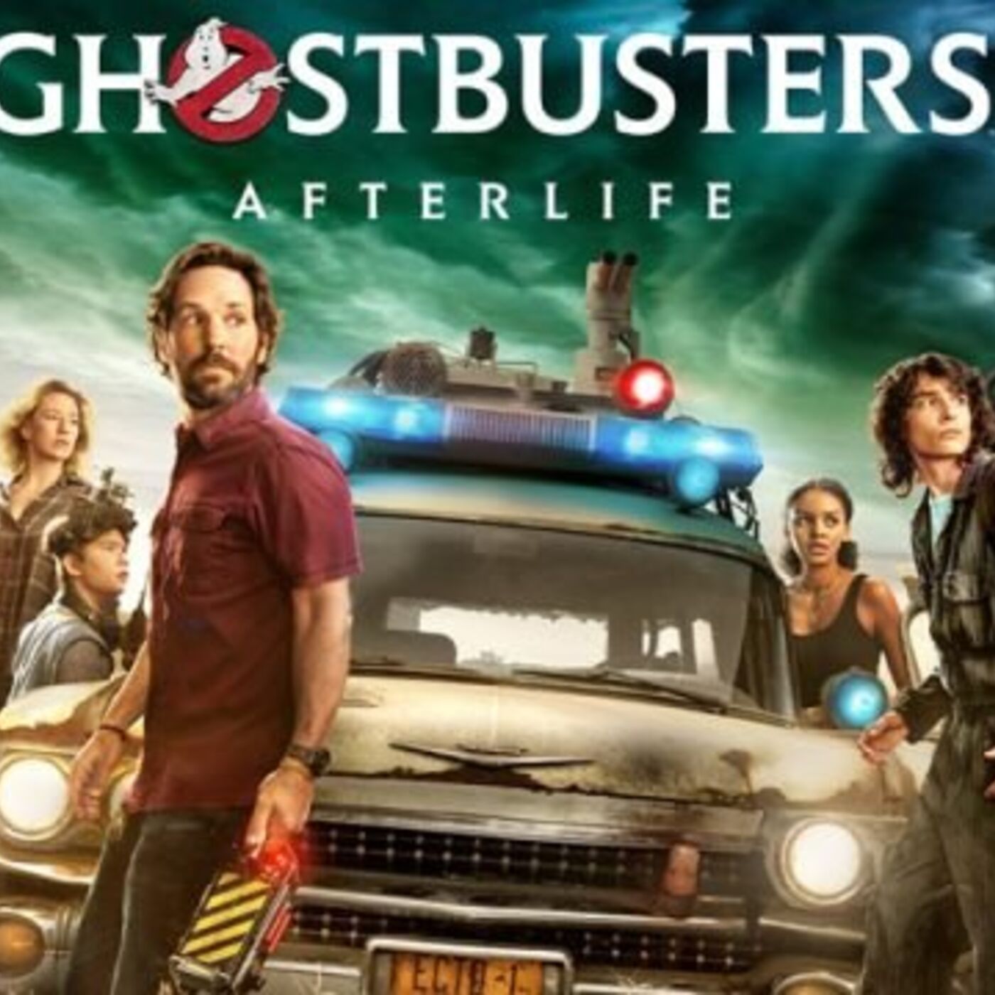 The Best Legs In Chicago