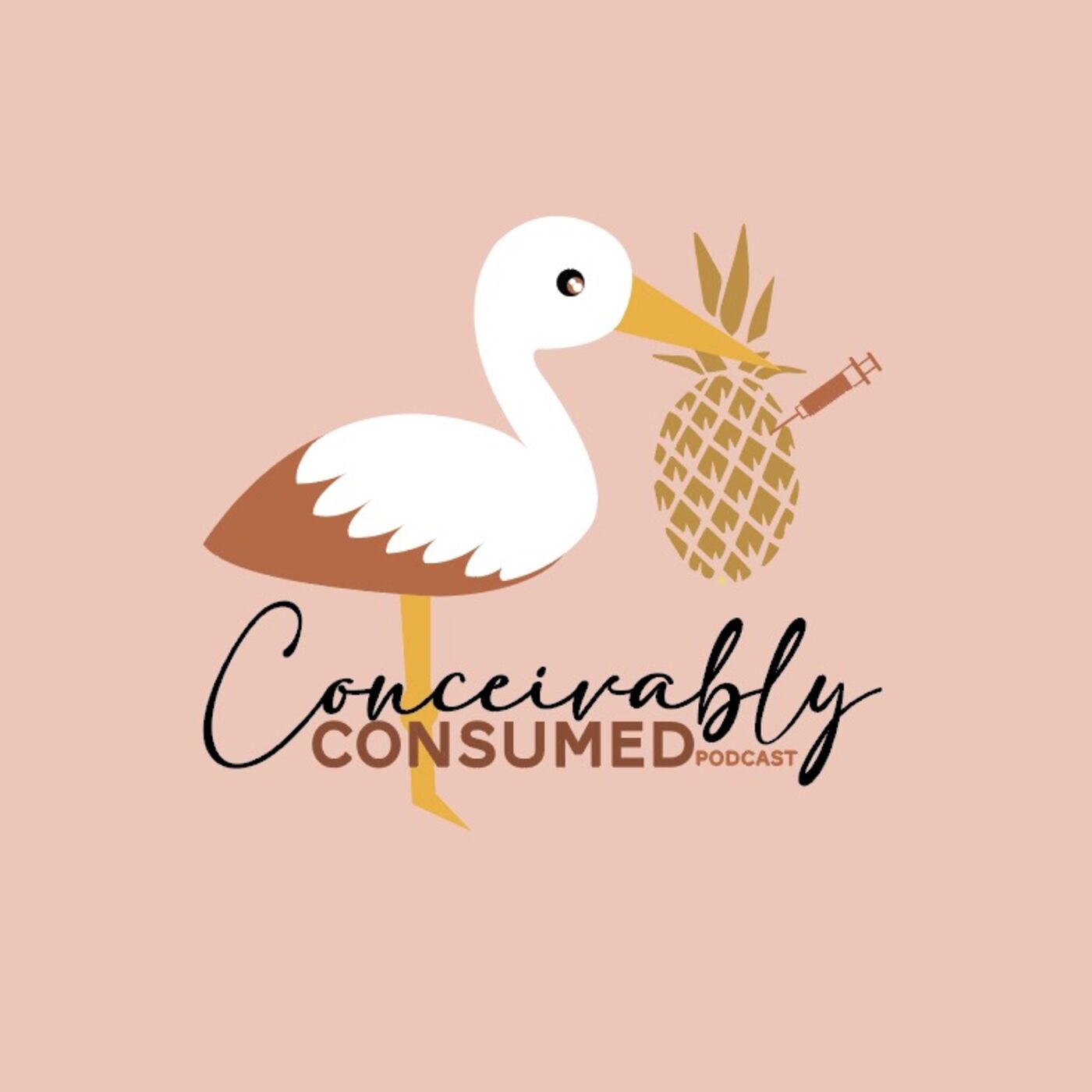 Conceivably Consumed Podcast cover art