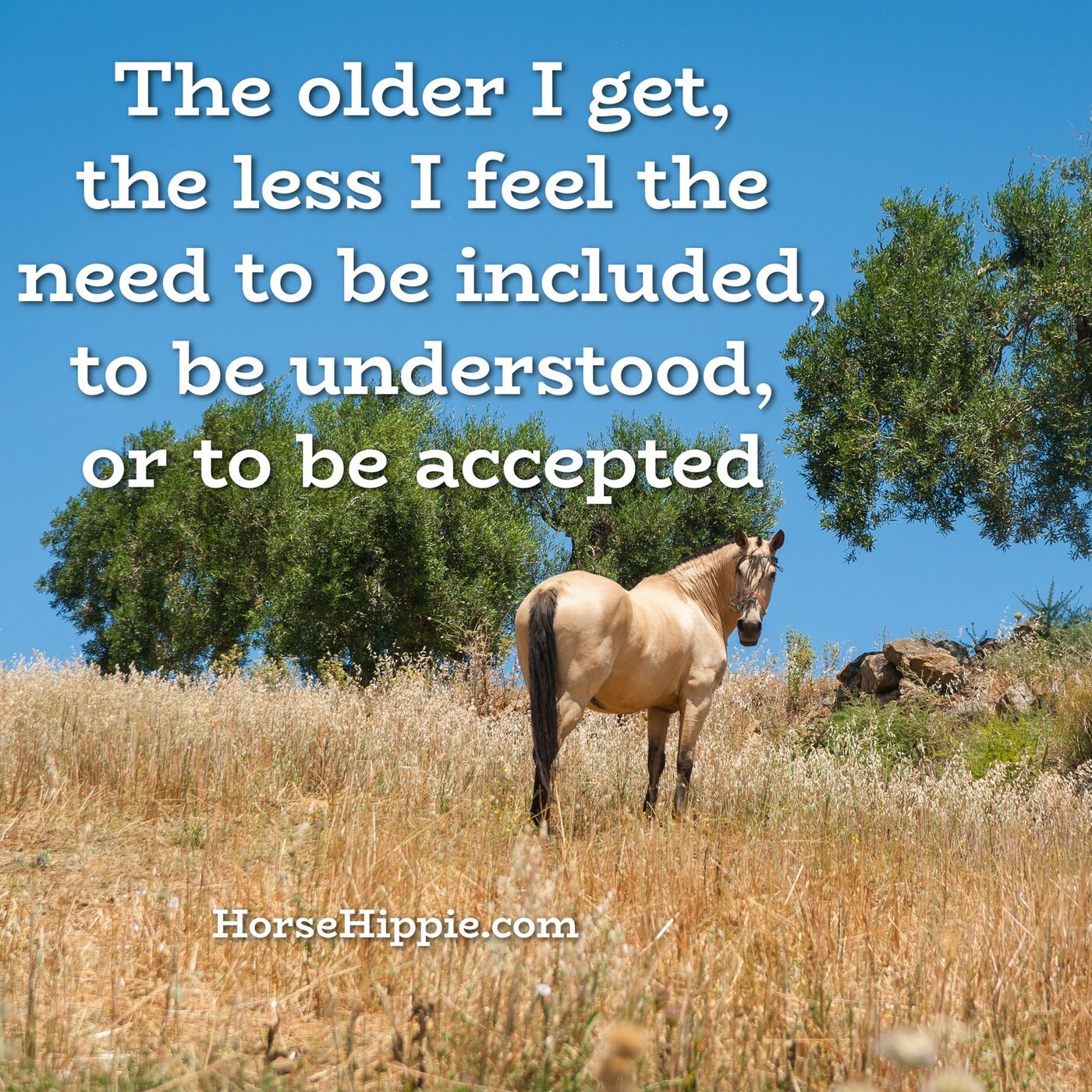 The Wisdom of Aging