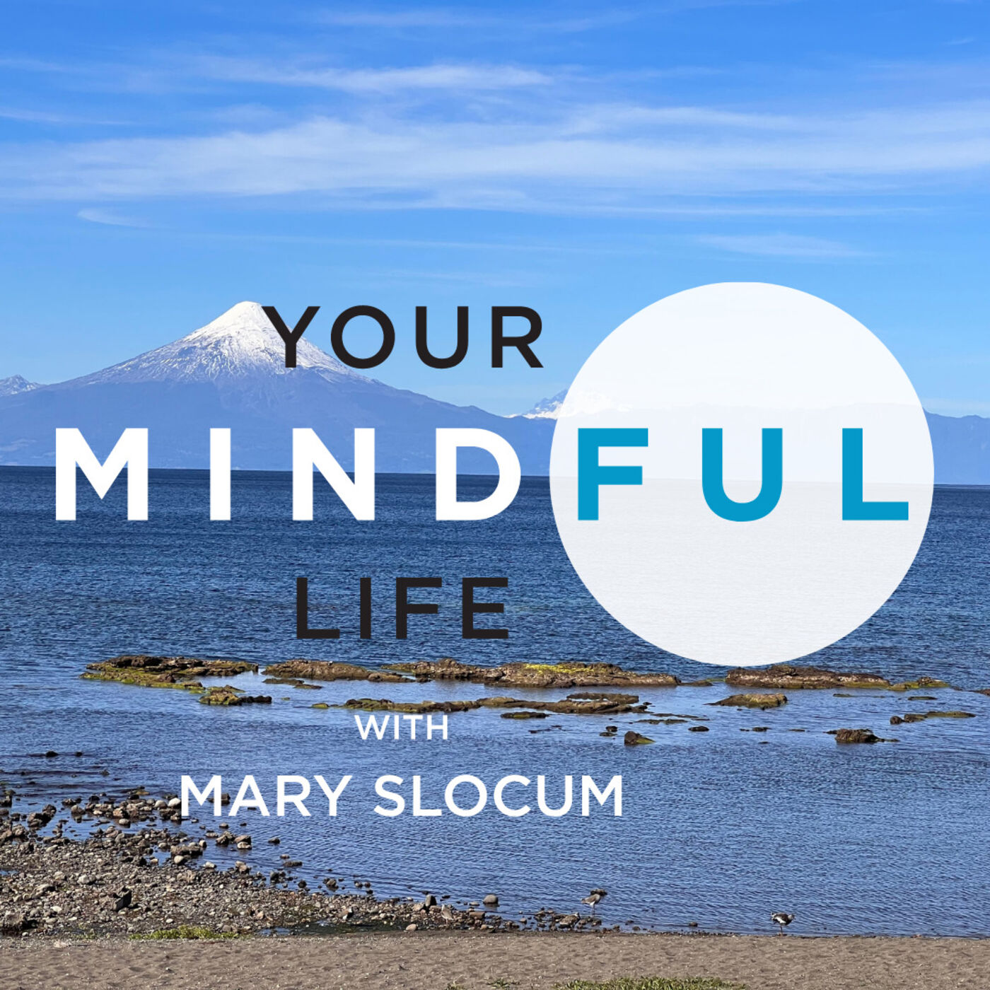 Your Mindful Life