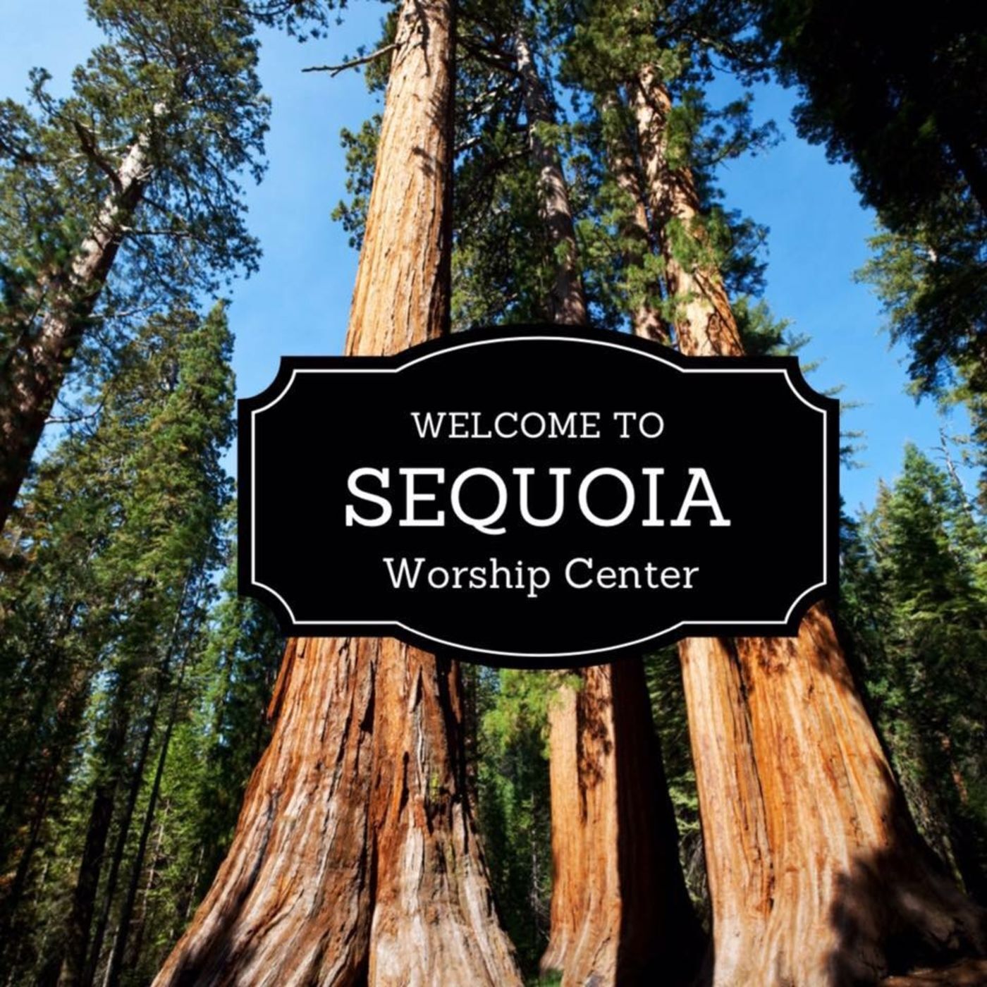 Sequoia Worship Center