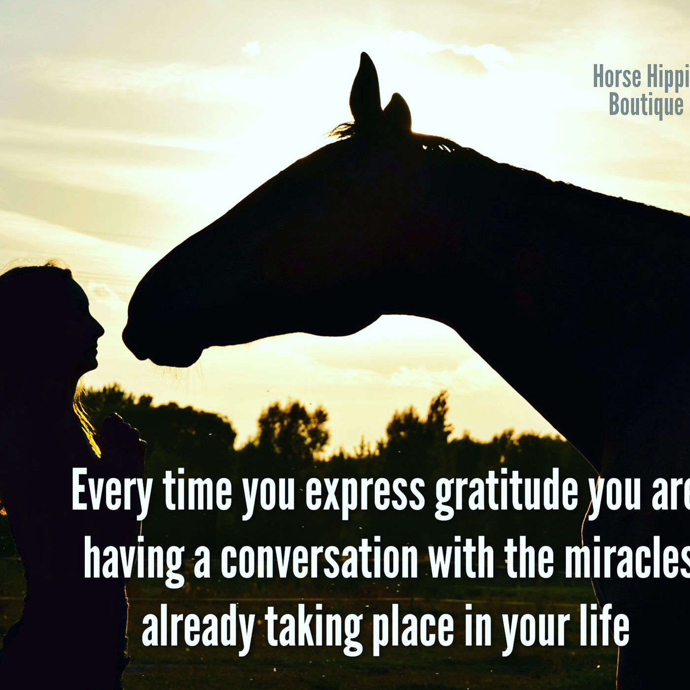 The Gratitude Muscle