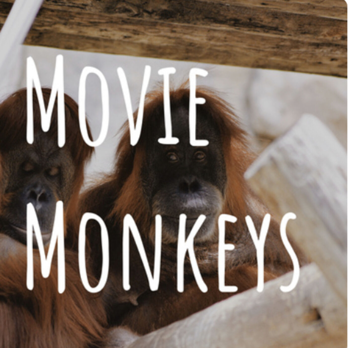 Movie Monkeys