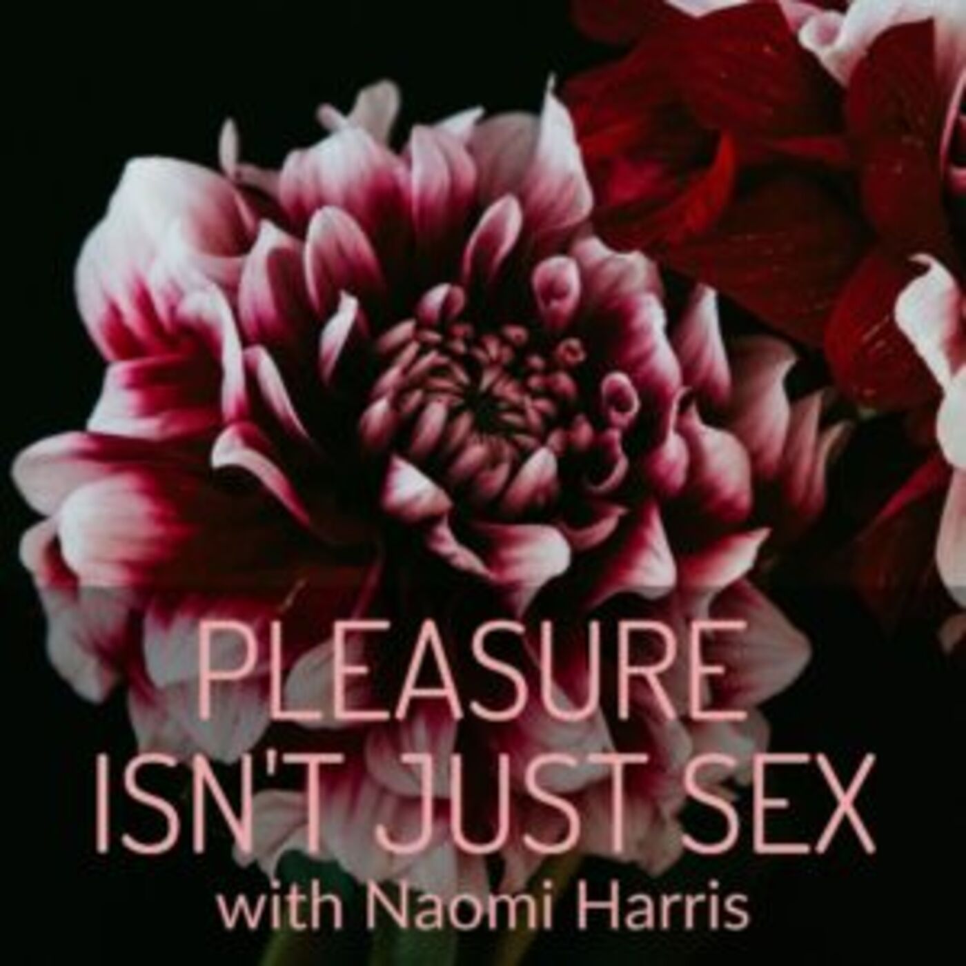 Pleasure Isn\'t Just Sex