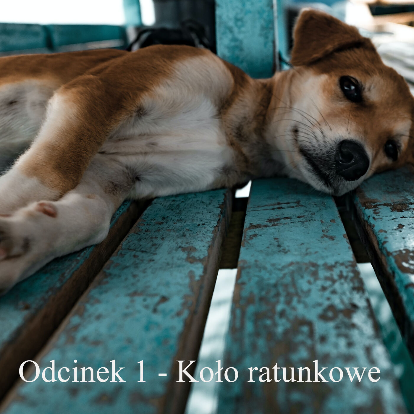 Systemy kubitowe