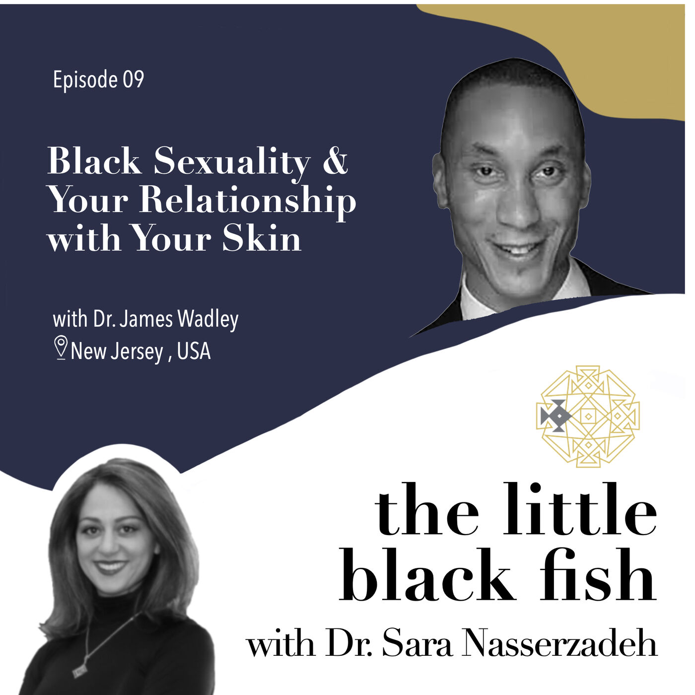 the little black fish
