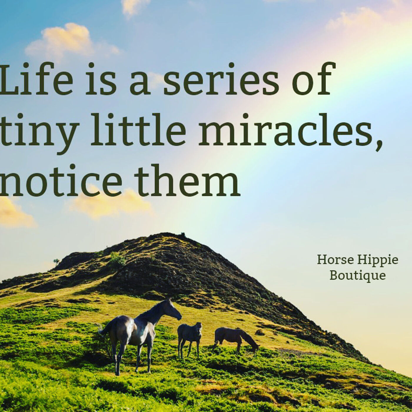 Notice the Little Things