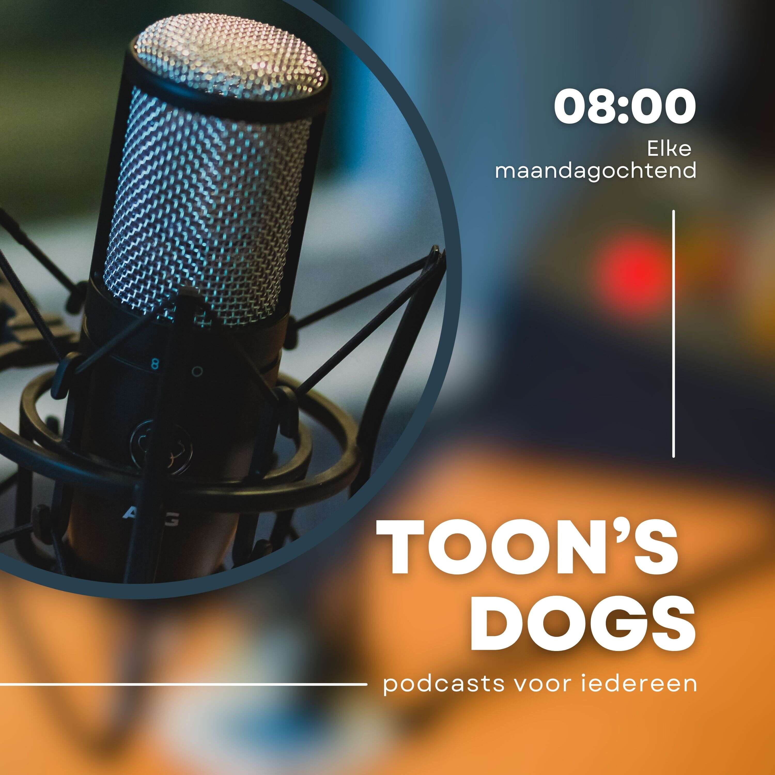Toon's Podcast podcast artwork