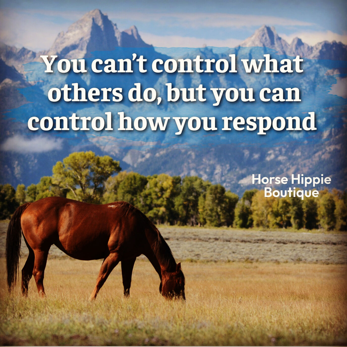 Control Your Response