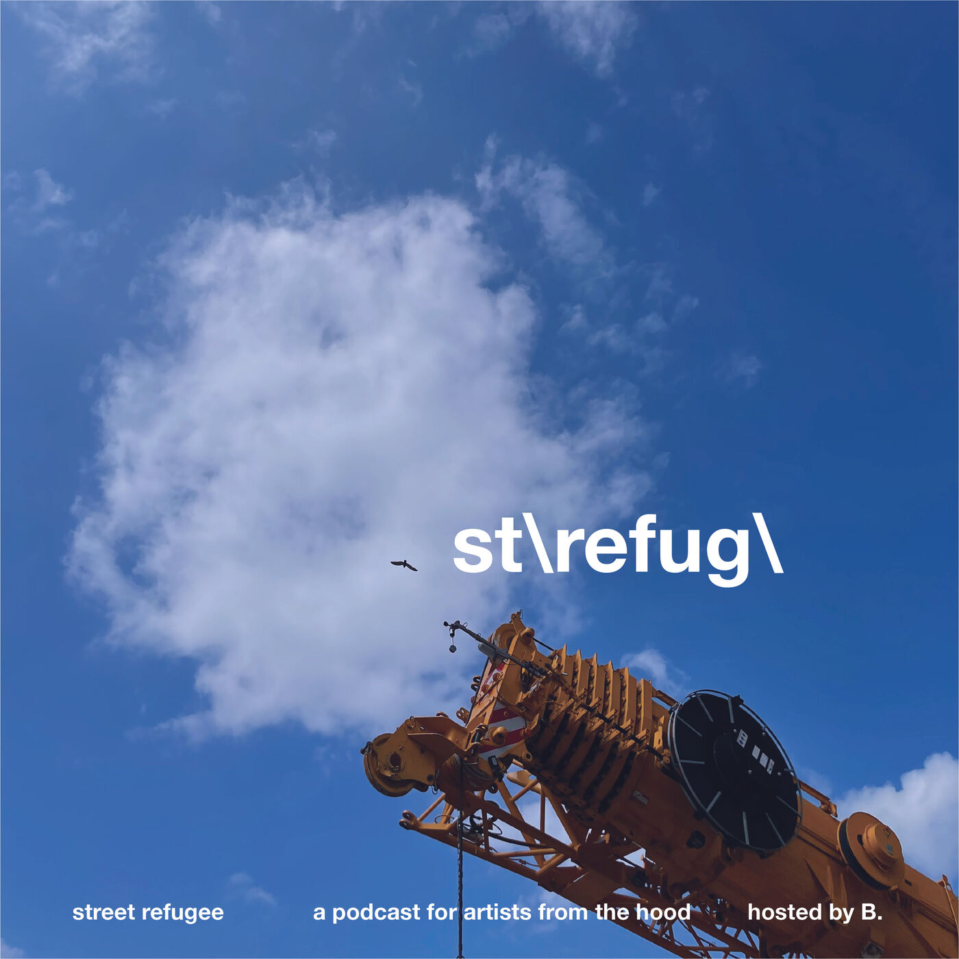 street refugee