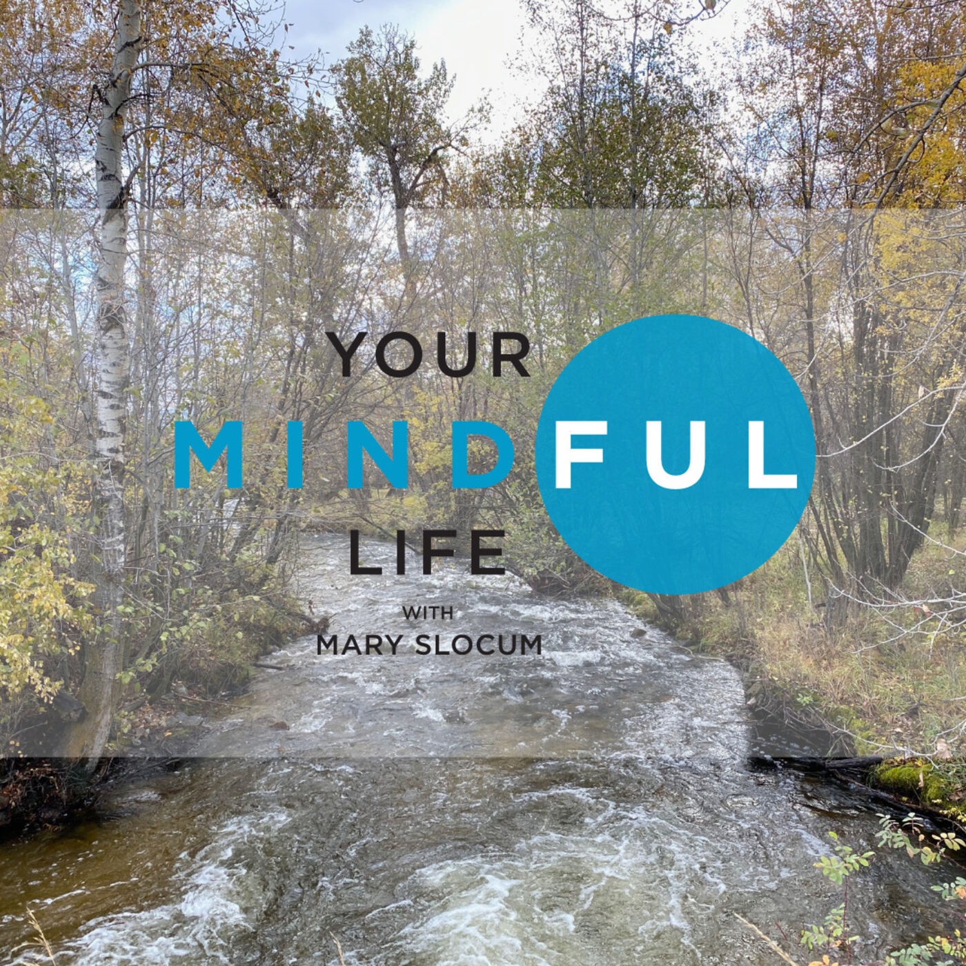 Your Mindful Life
