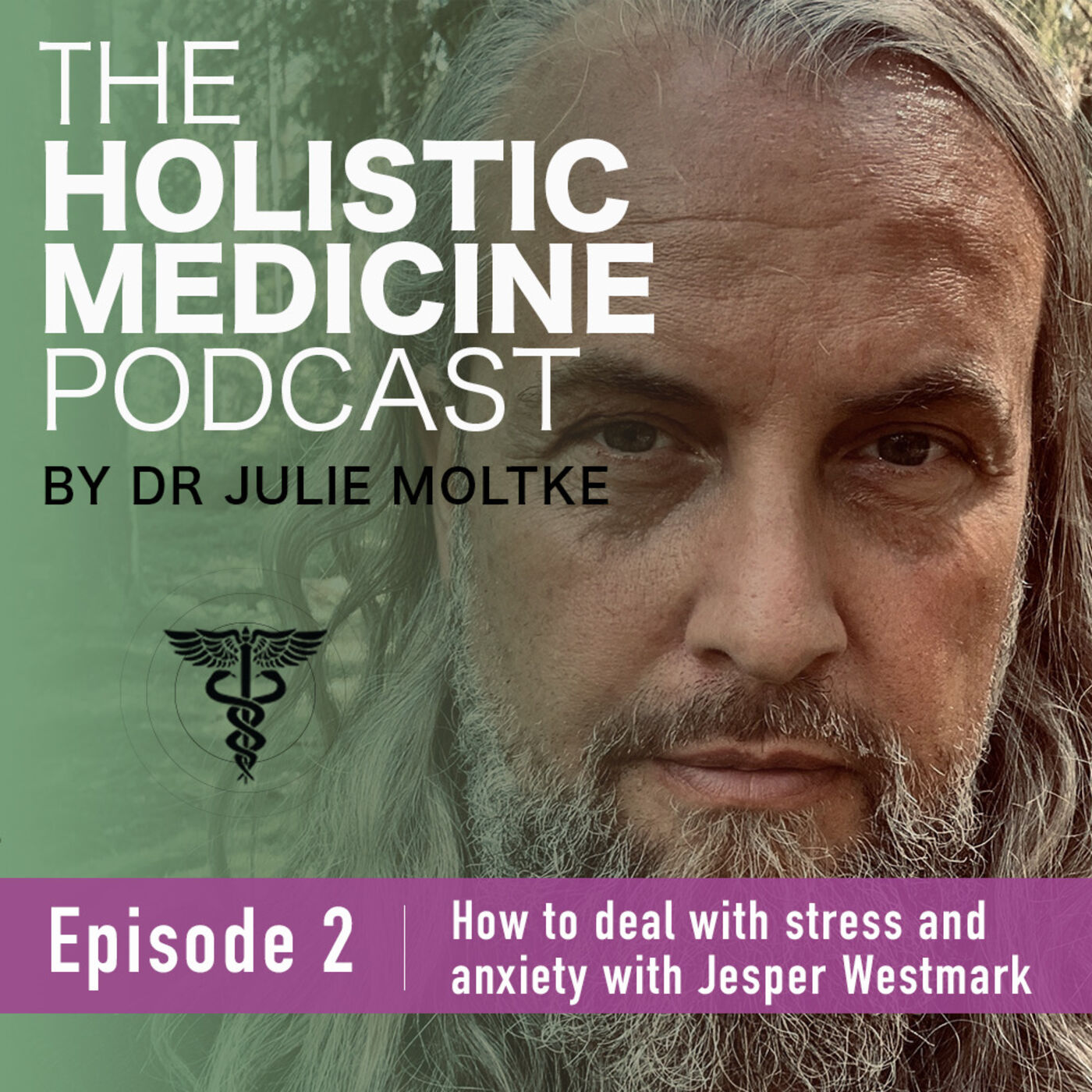 The Holistic Medicine Podcast by Dr Julie Moltke