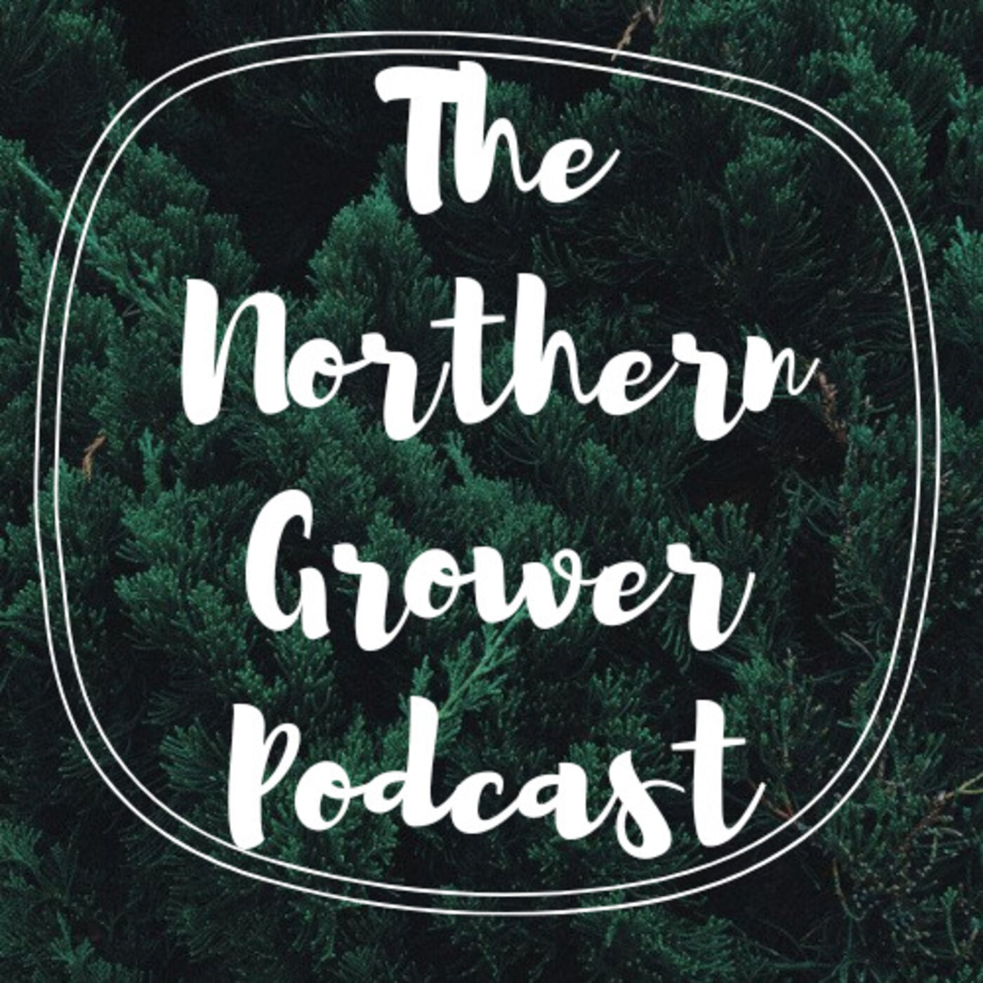 The Northern Grower