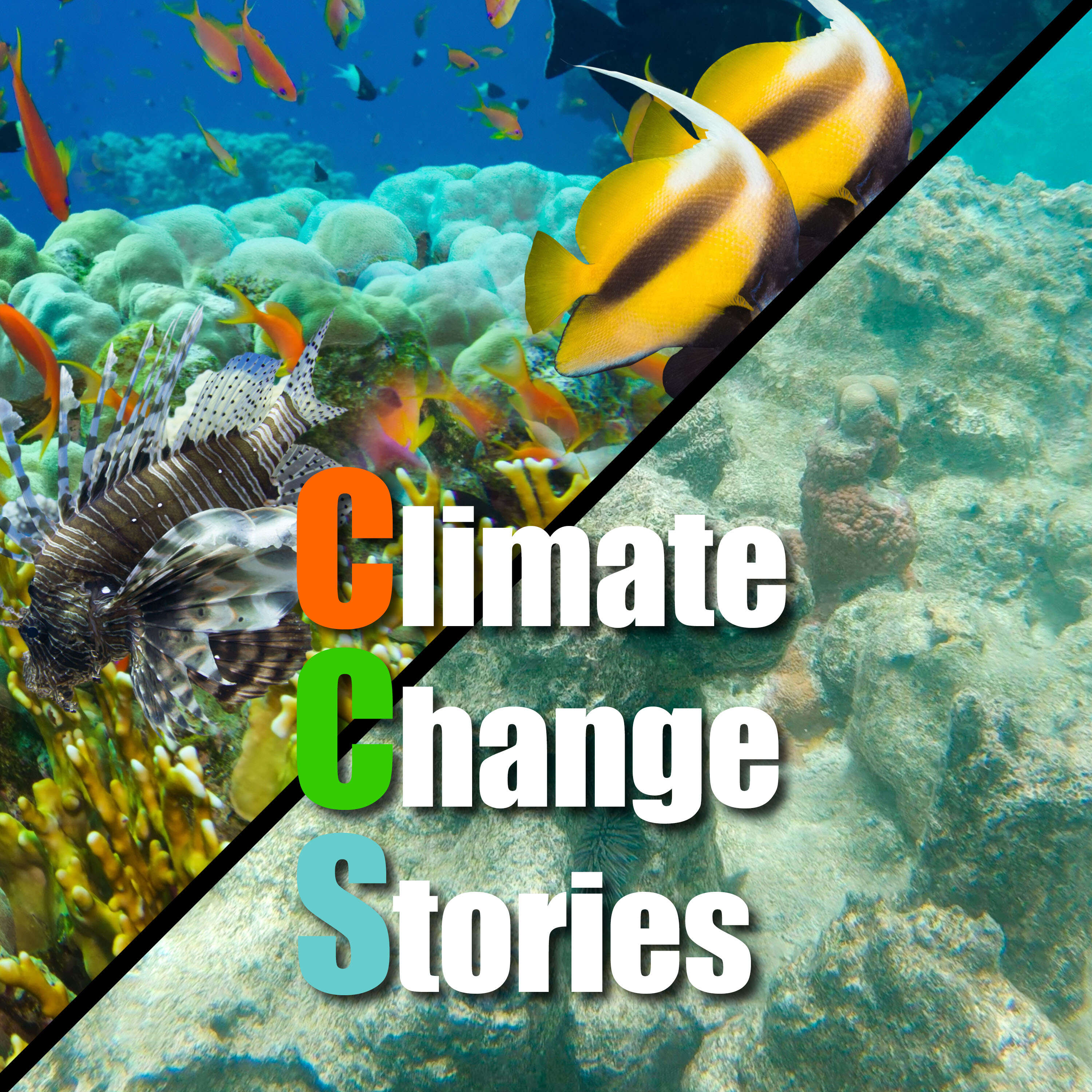 Climate Change Stories