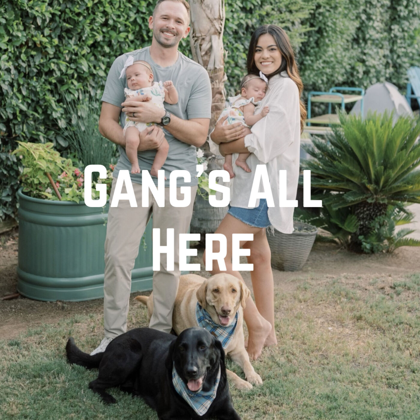 Gang's All Here