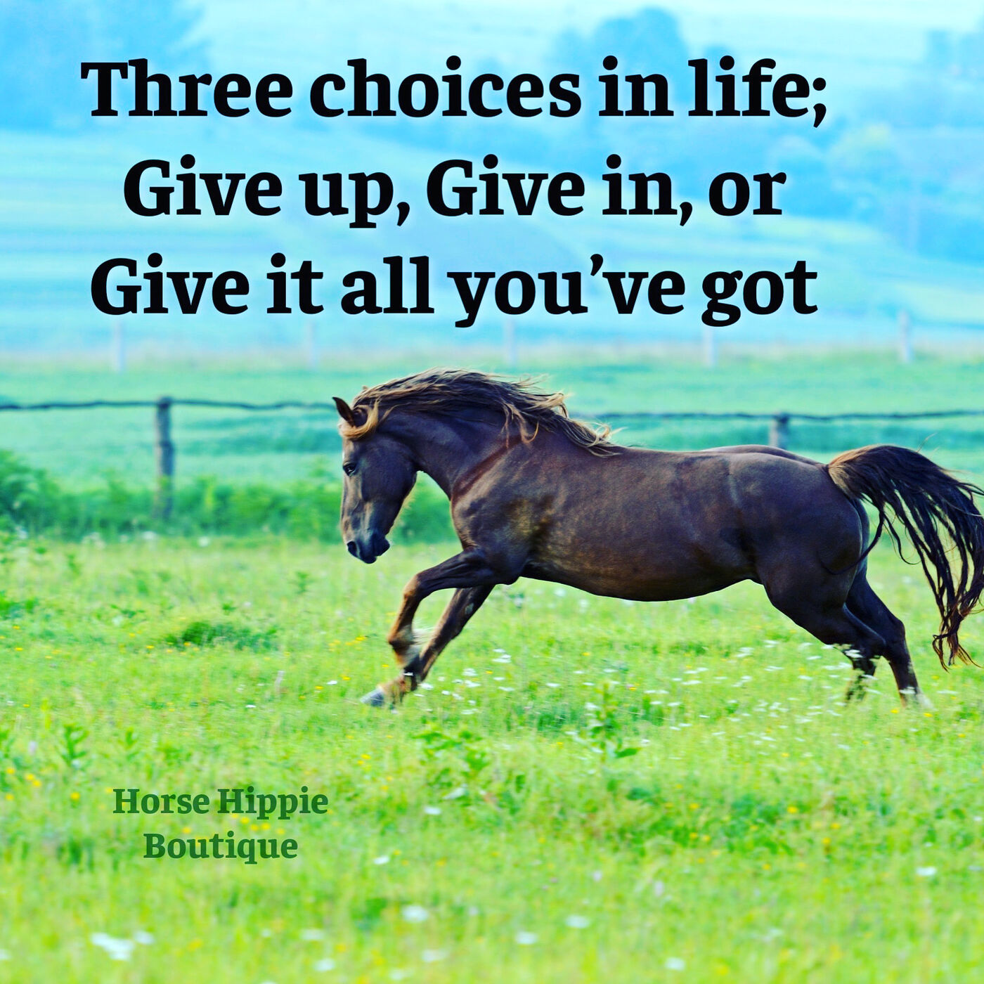 3 Choices