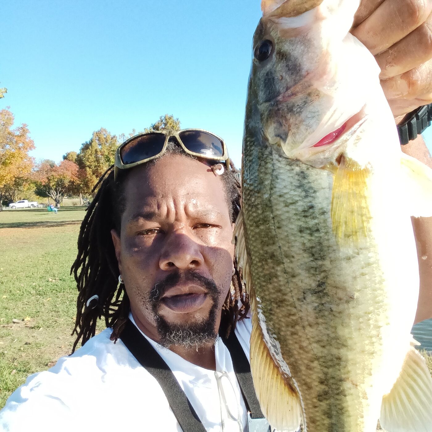 Fish Lips and Tips