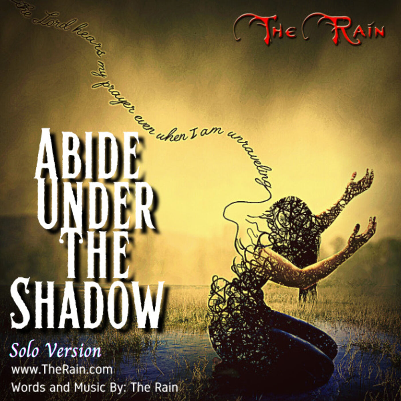 Under The Shadow