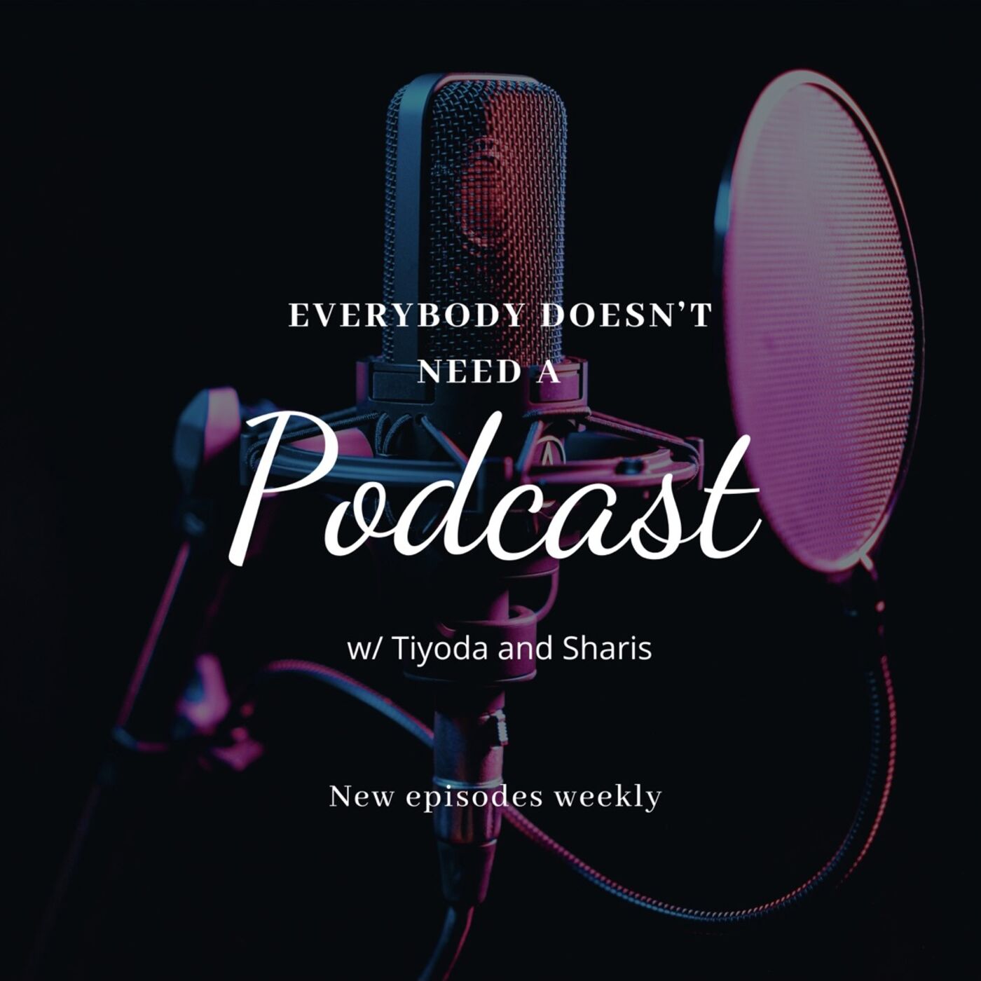 Everybody Doesn’t Need a Podcast cover art