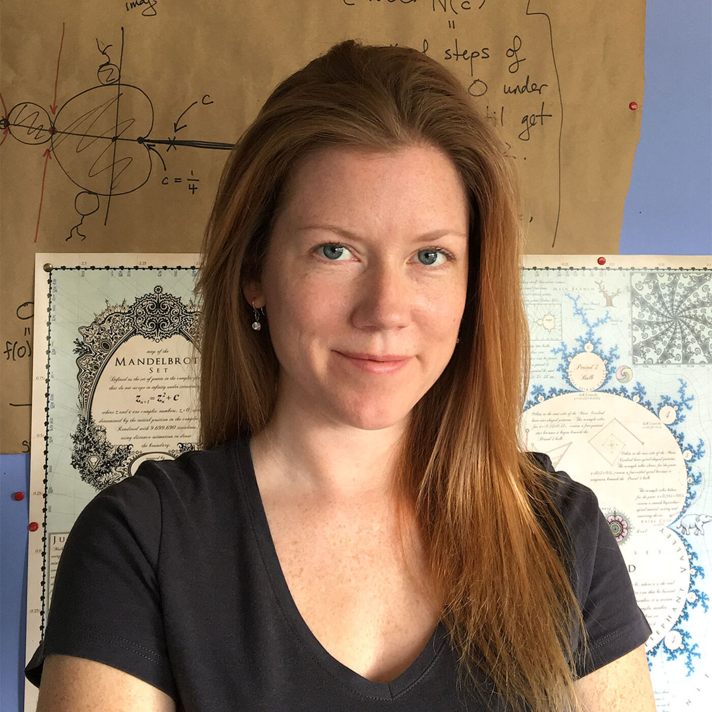 The Mathematical Vision of Maryam Mirzakhani