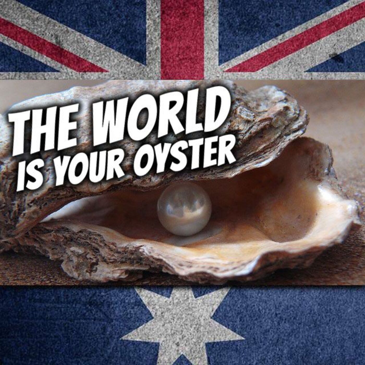 AE 491 - Expression: The World Is Your Oyster