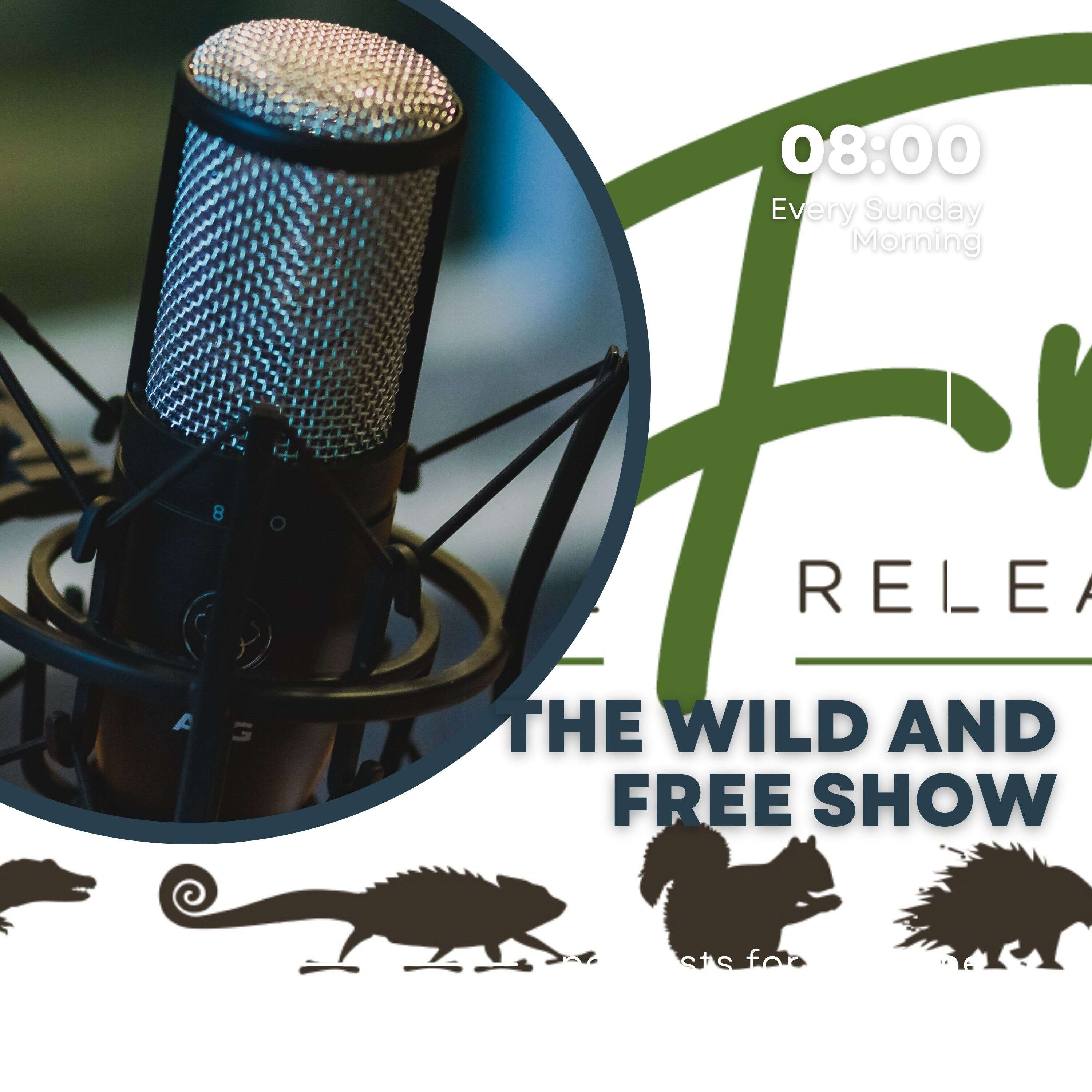 Wild and Free Voices: Conversations from the Heart of Wildlife Rehabilitation podcast artwork