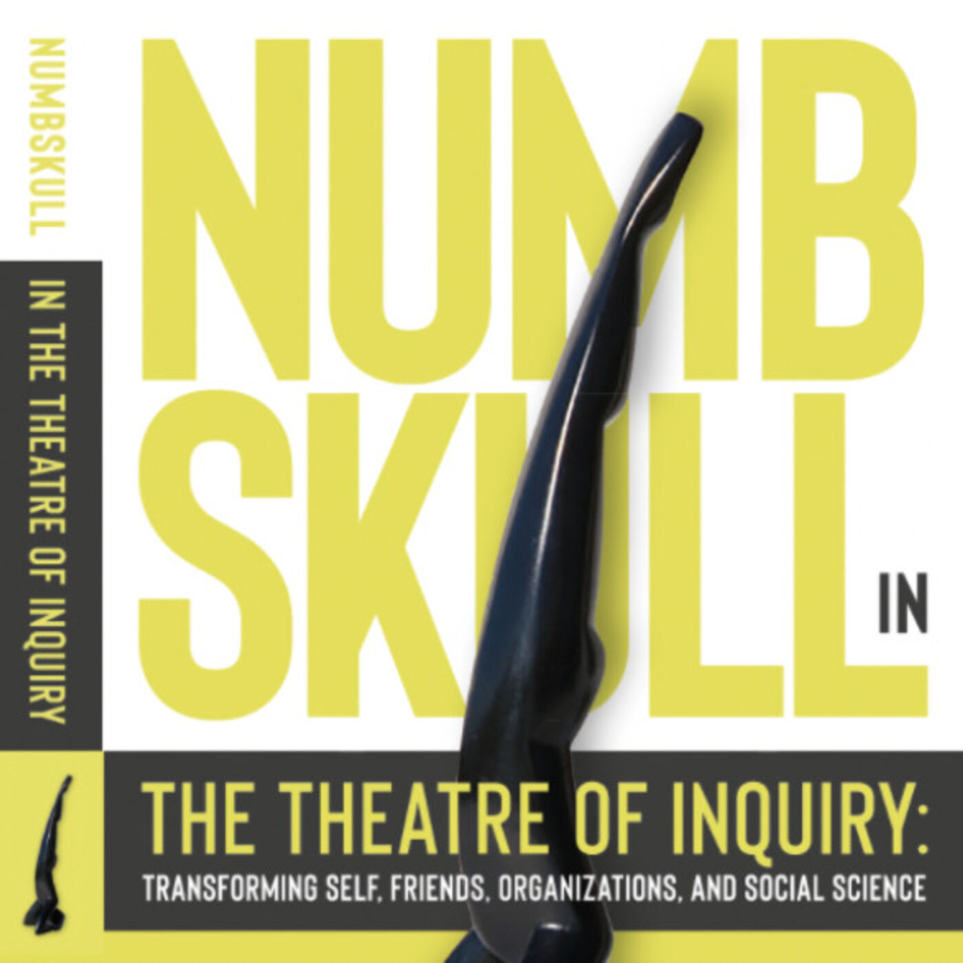Numbskull in The Theatre of Inquiry: Transforming Self, Friends, Organizations, and Social Science