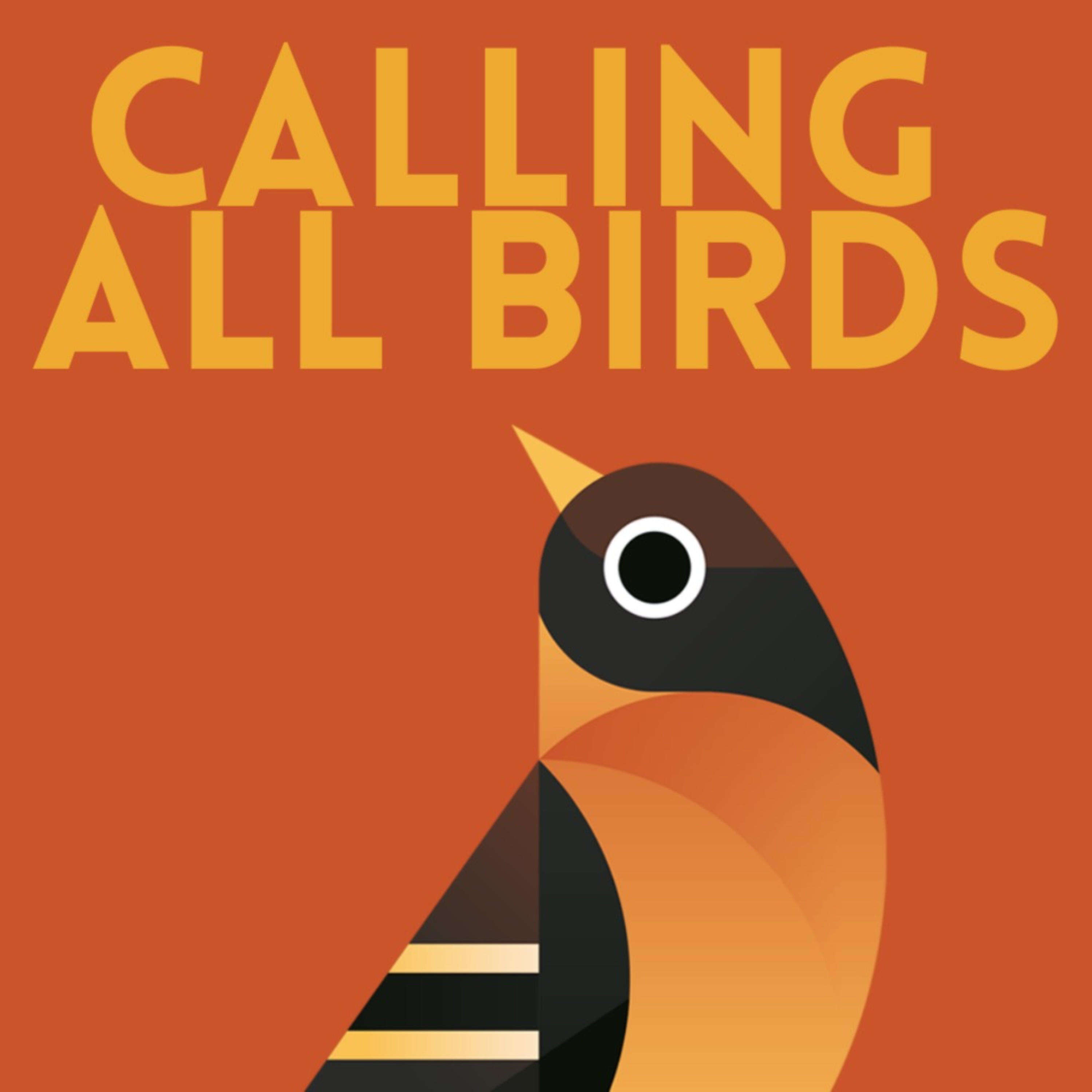 Calling All Birds cover art