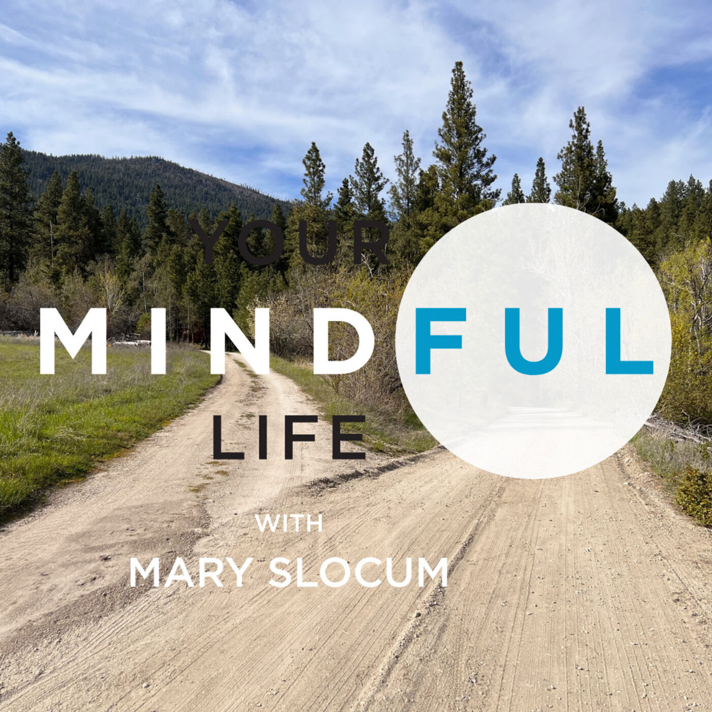 Your Mindful Life