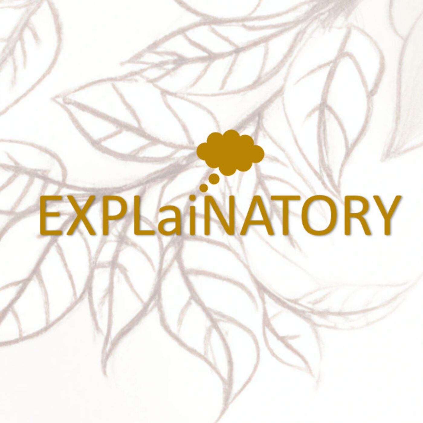 Explainatory