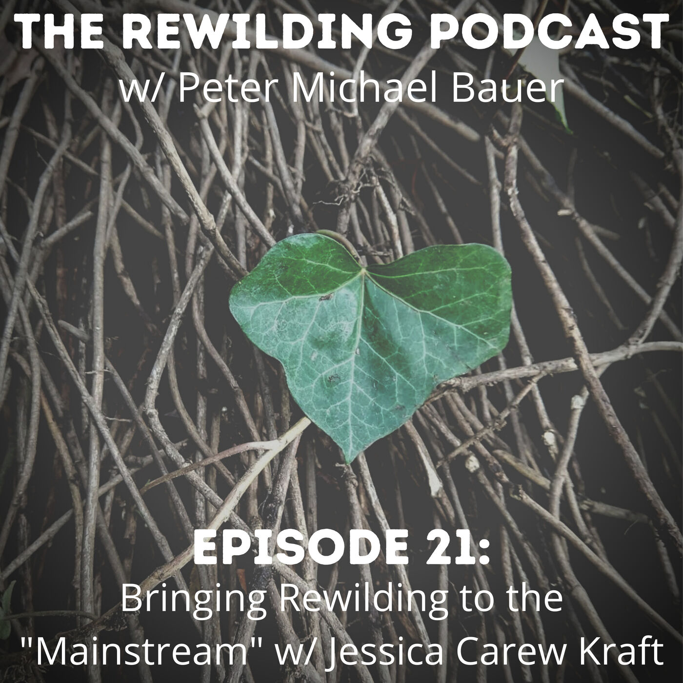 The Rewilding Podcast w/ Peter Michael Bauer