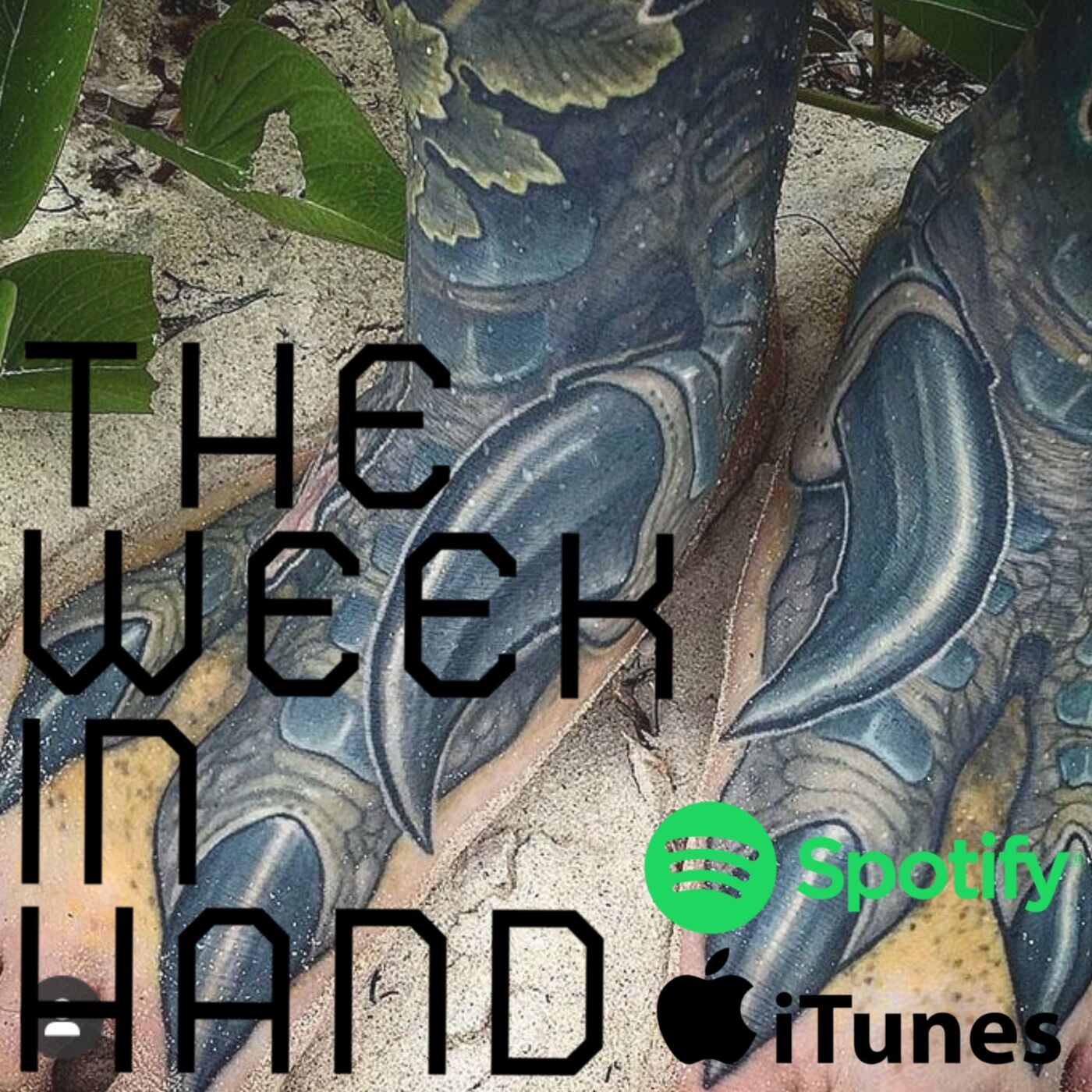 The Week In Hand