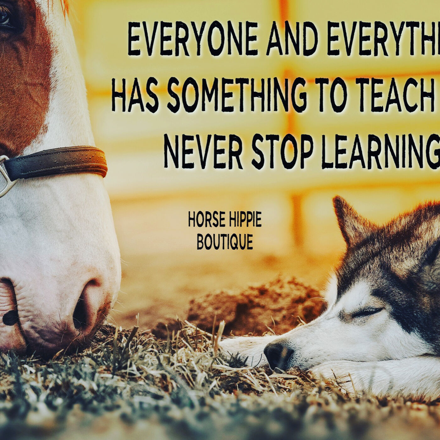 Always be Learning