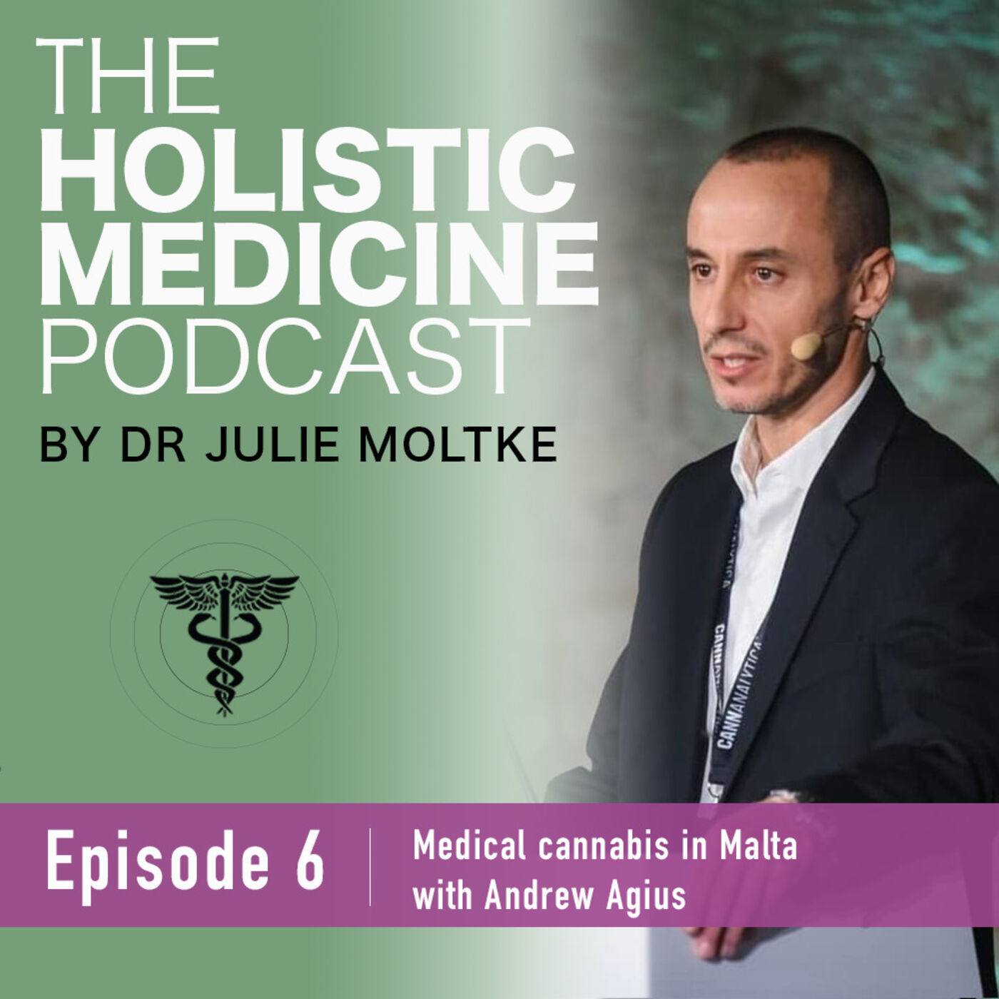 The Holistic Medicine Podcast by Dr Julie Moltke