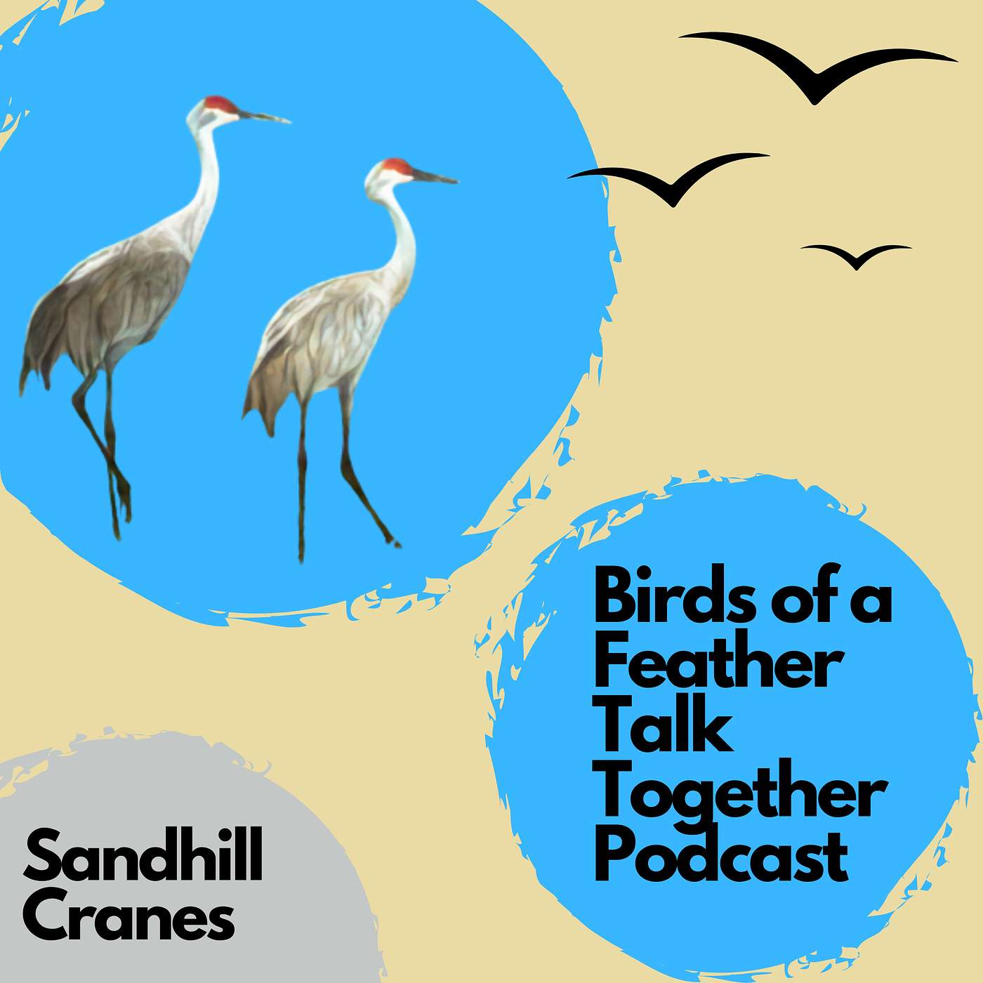 Birds of a Feather Talk Together