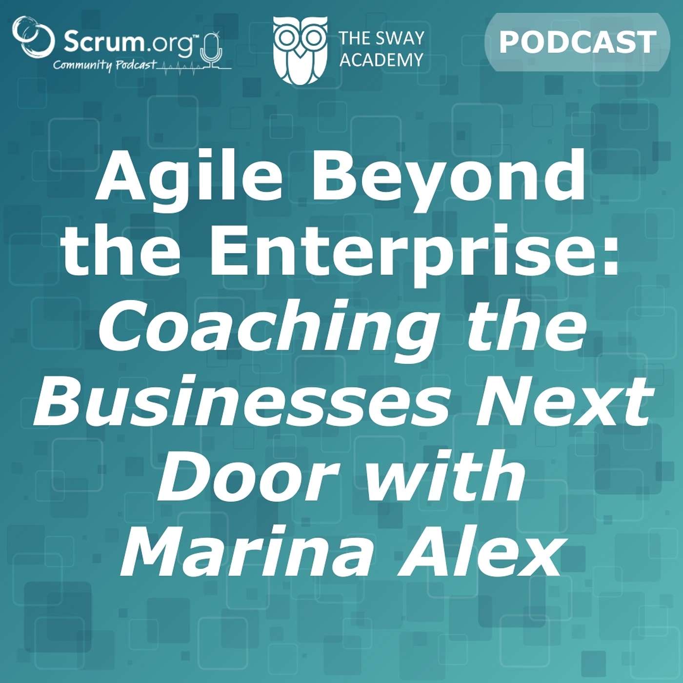 Agile Beyond the Enterprise: Coaching the Businesses Next Door with Marina Alex