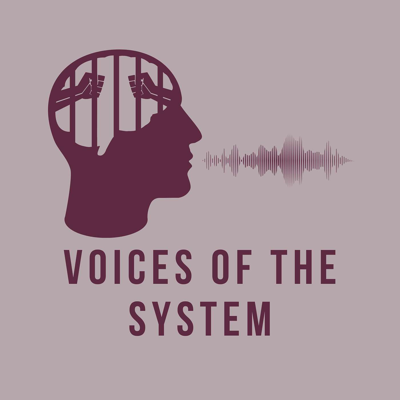 Voices of the System cover art