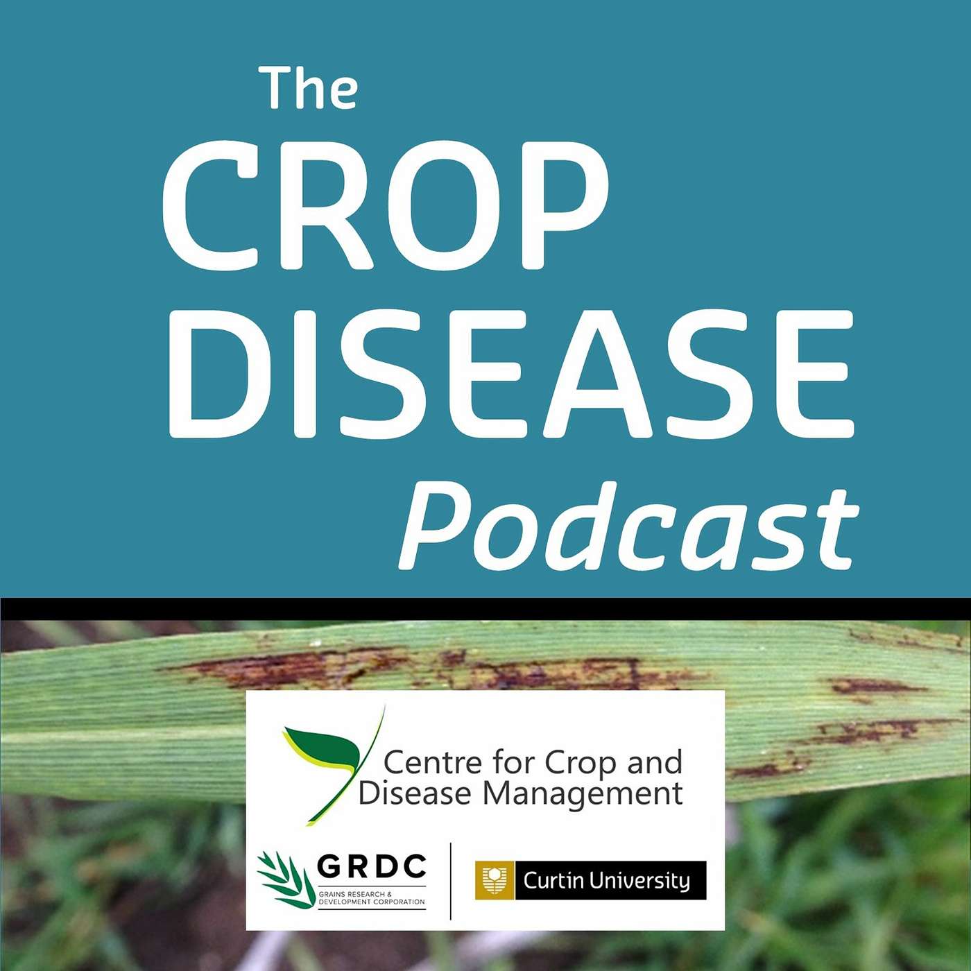 01 Pre-season tips for managing crop disease from East to West